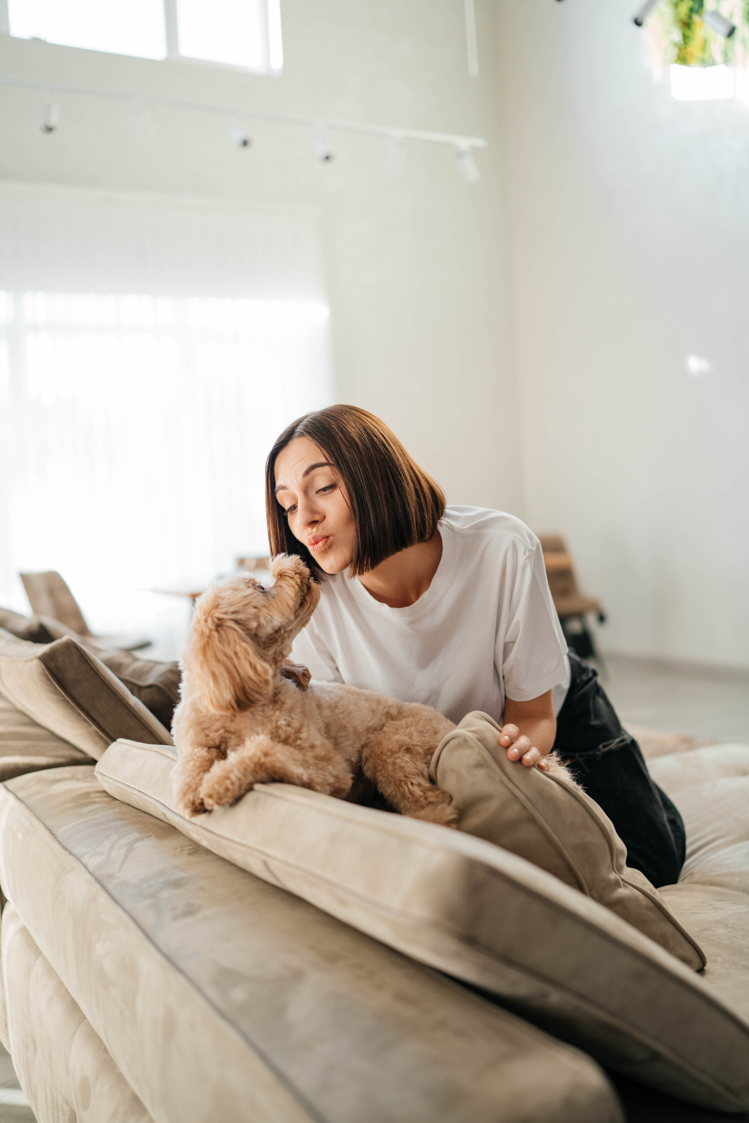 Съемки с животными. Https://instagram.com/ana.stasia.n