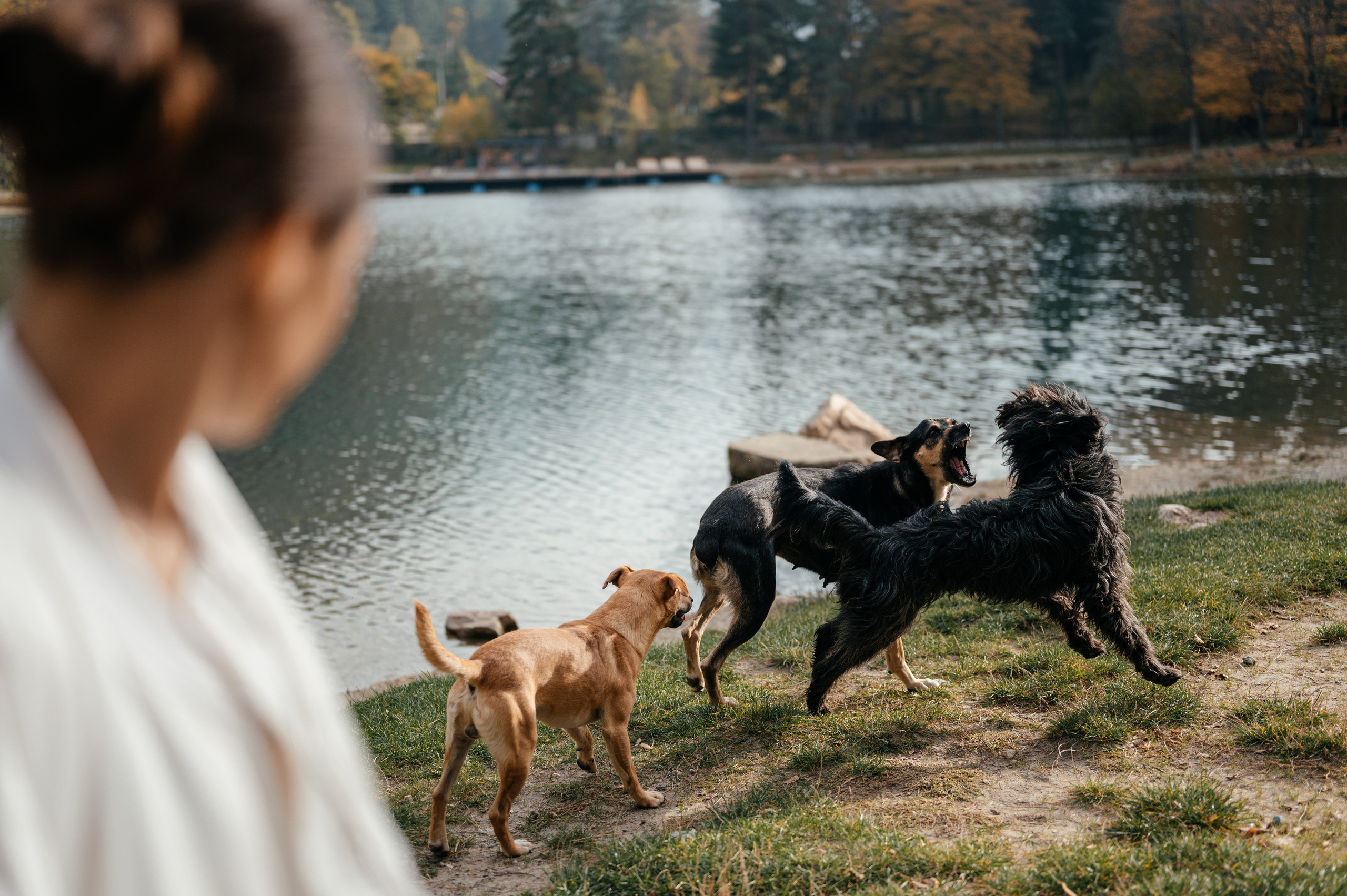 Сандра&Костя (Домбай). Свадебный фотограф в Донецке — Вита Донец
