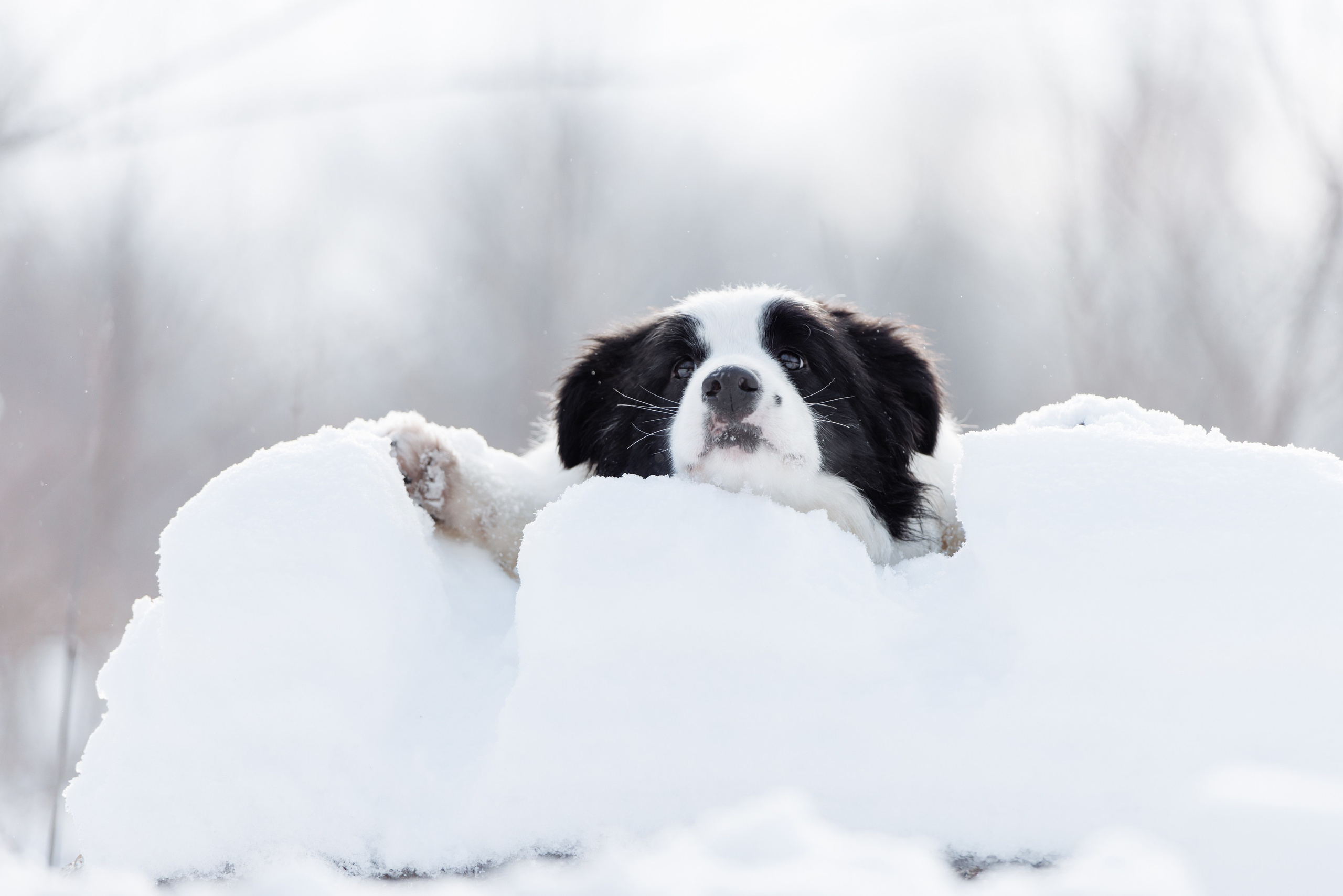 Яркий январь. О нас