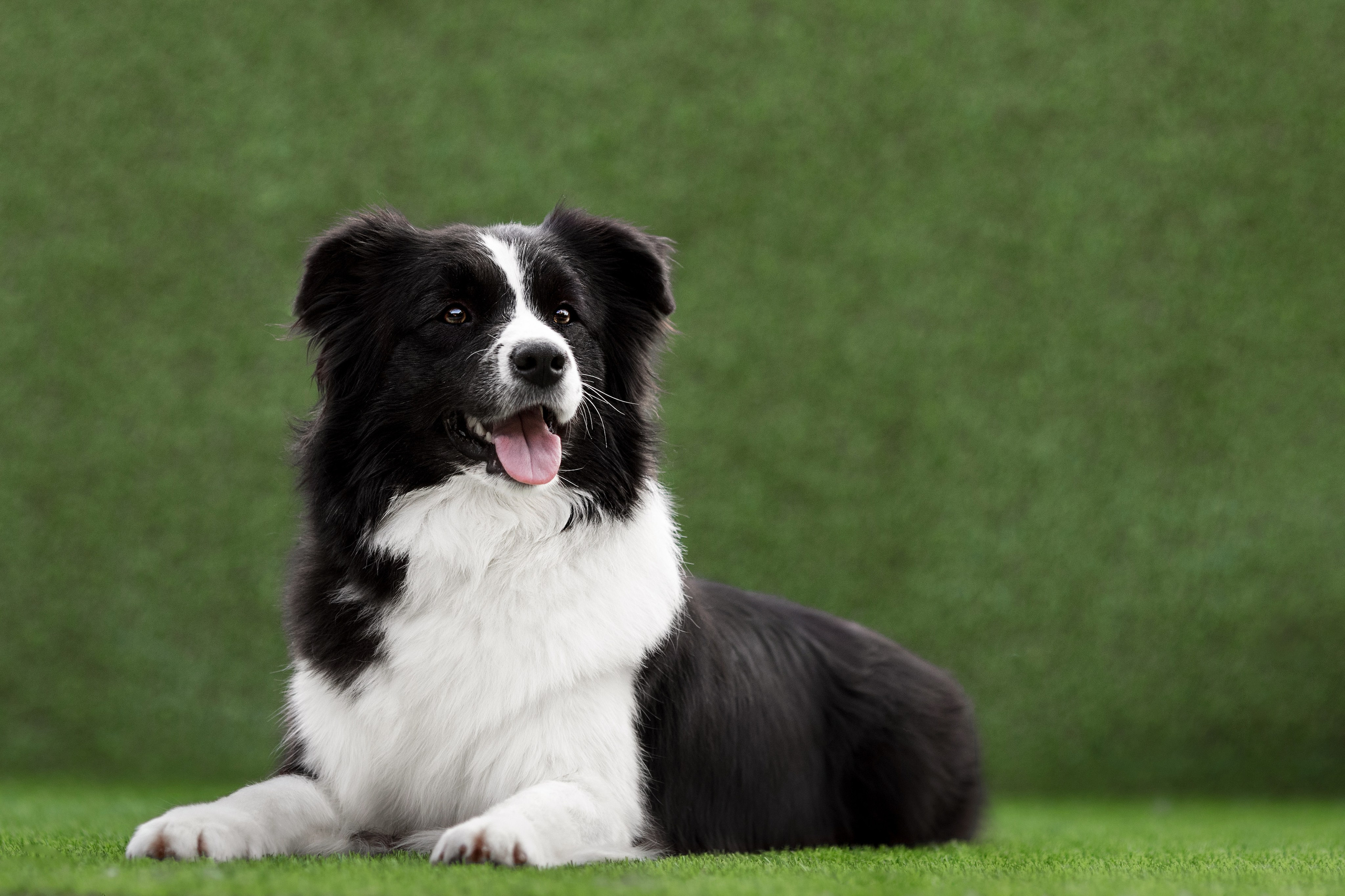 Роскошь в ростошах. О нас