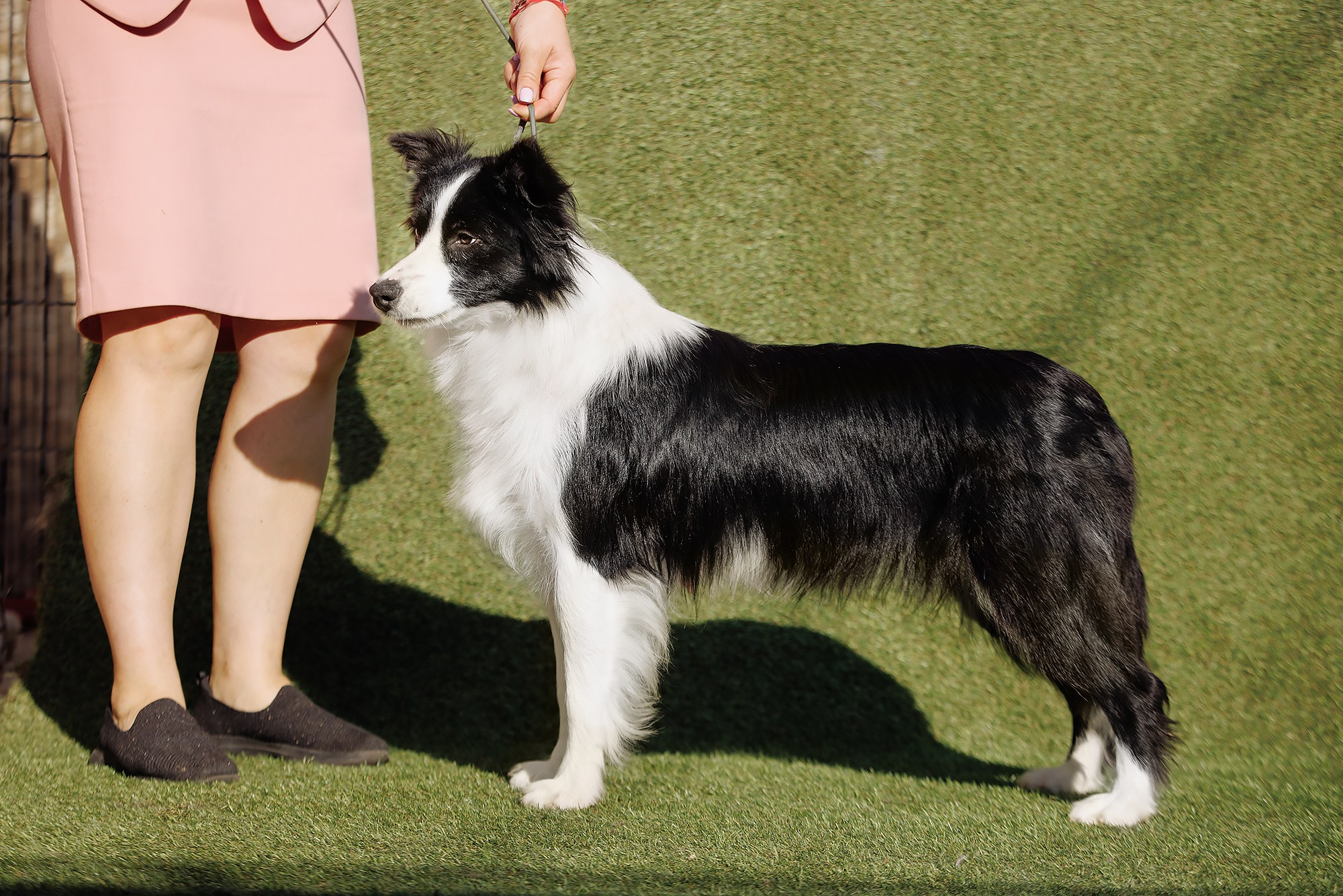 Трава у дома. О нас