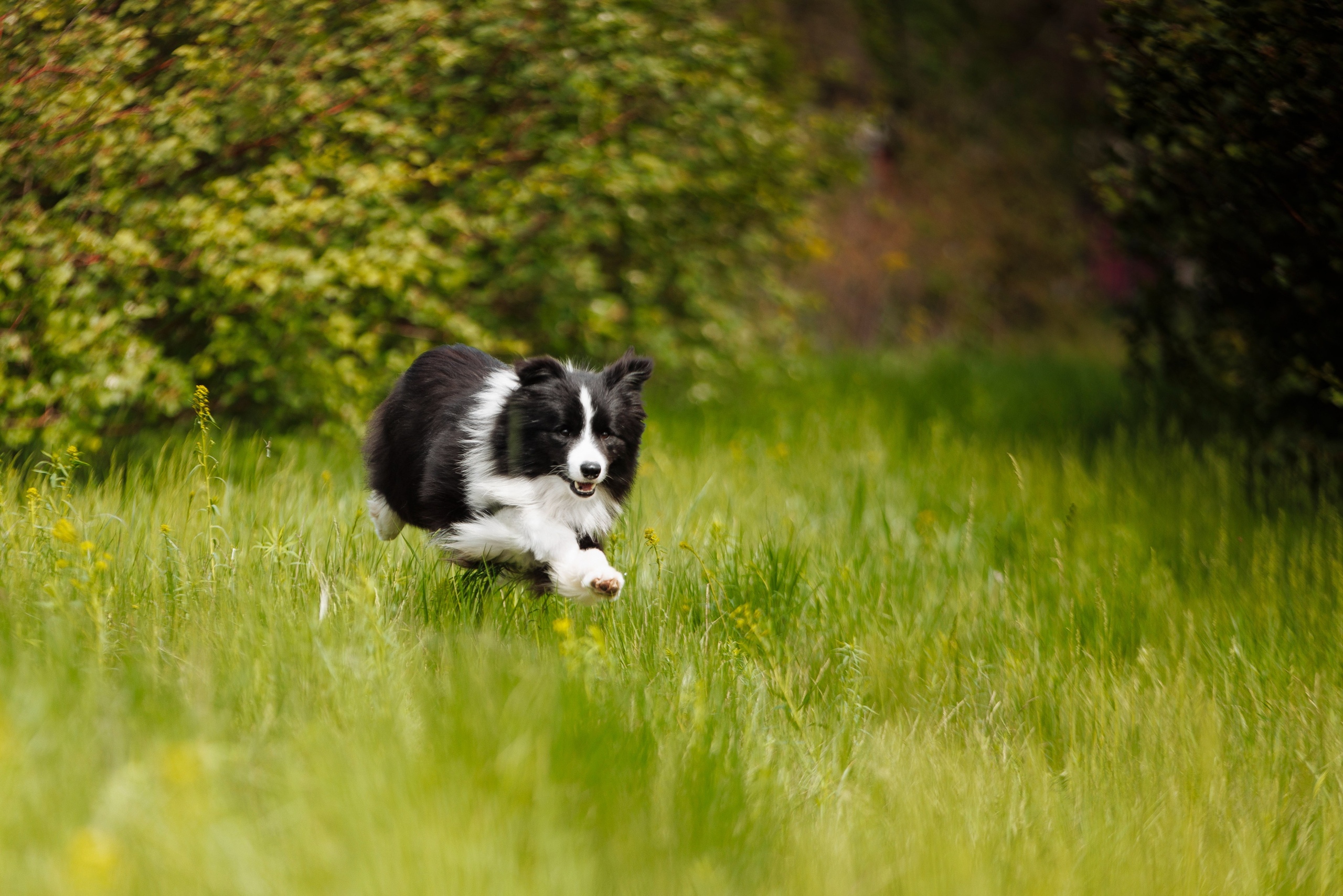 Такой разношерстный Орск 25. О нас