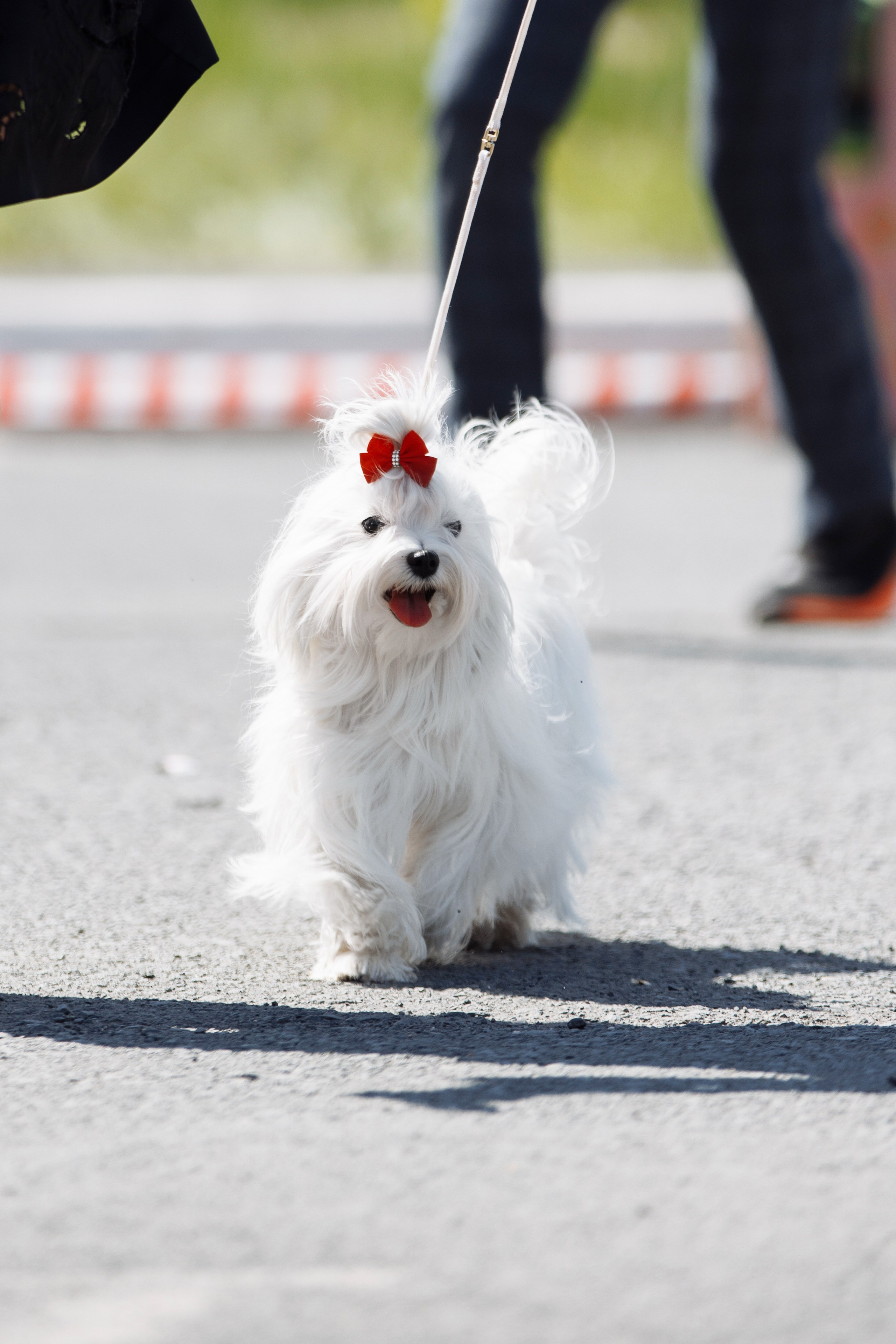 Такой разношерстный Орск 25. О нас