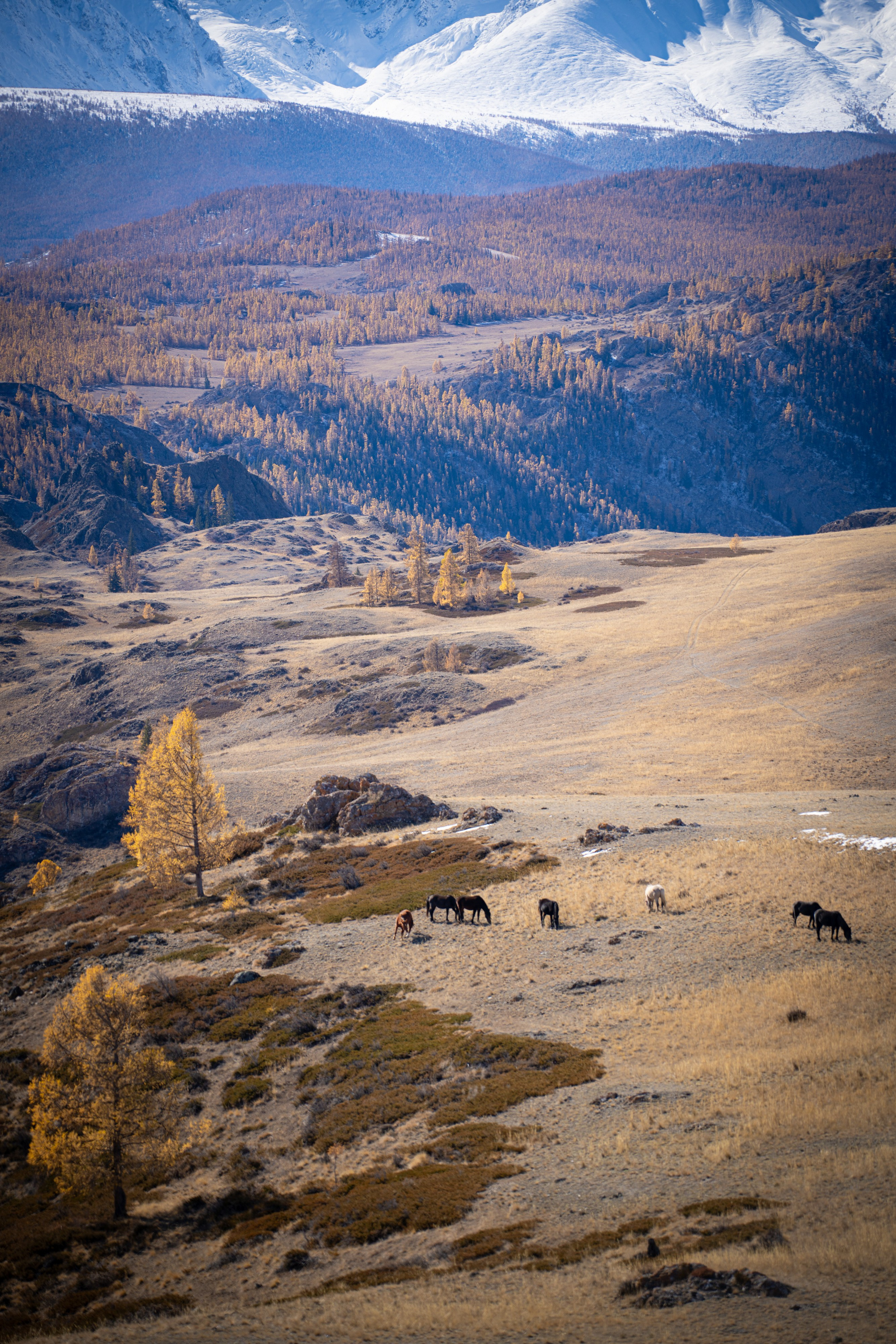 Чуйский тракт. Фотографии Тиграна Худавердяна