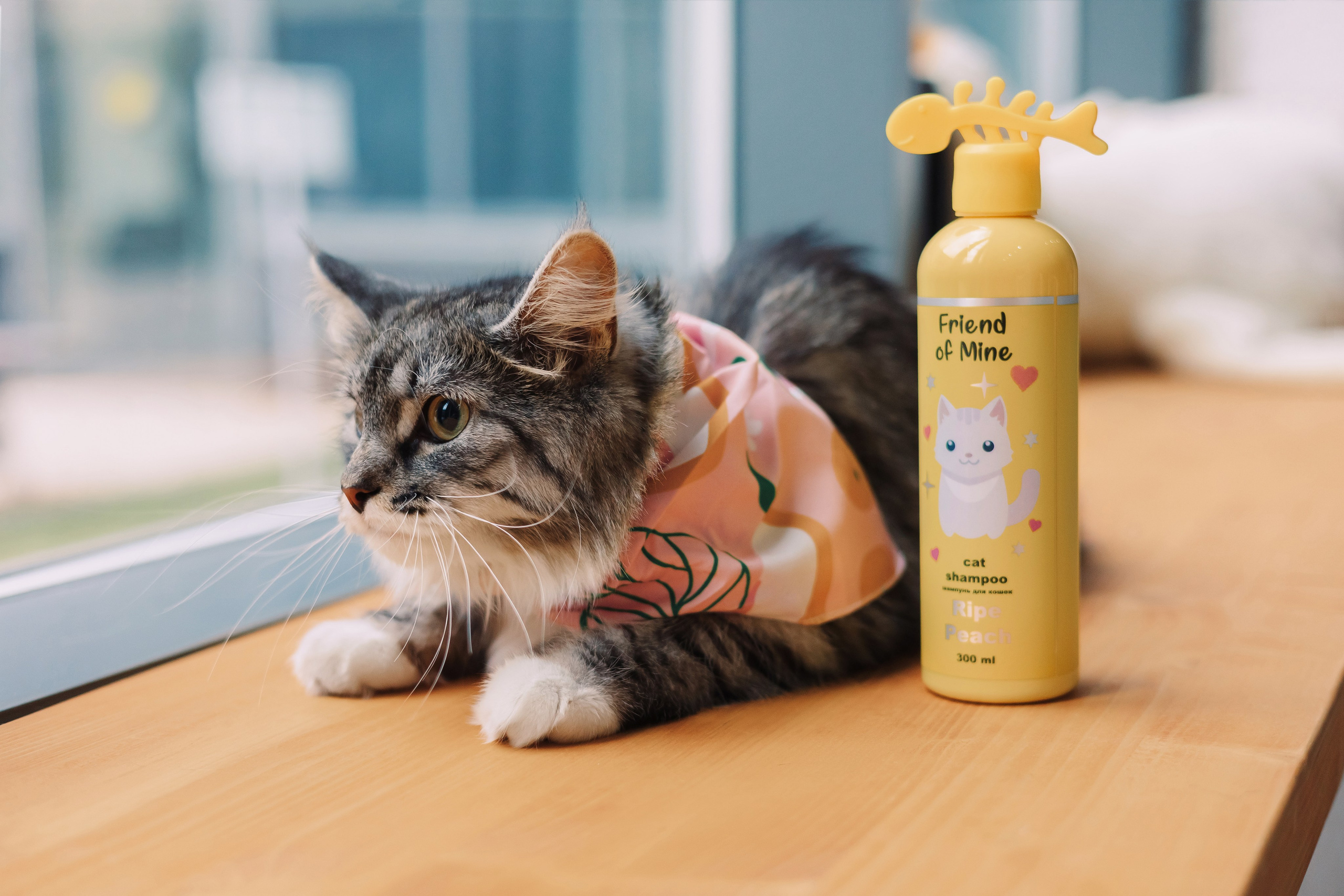 Магазин Friend of mine. Фотограф-анималист Елена Радченко, Москва