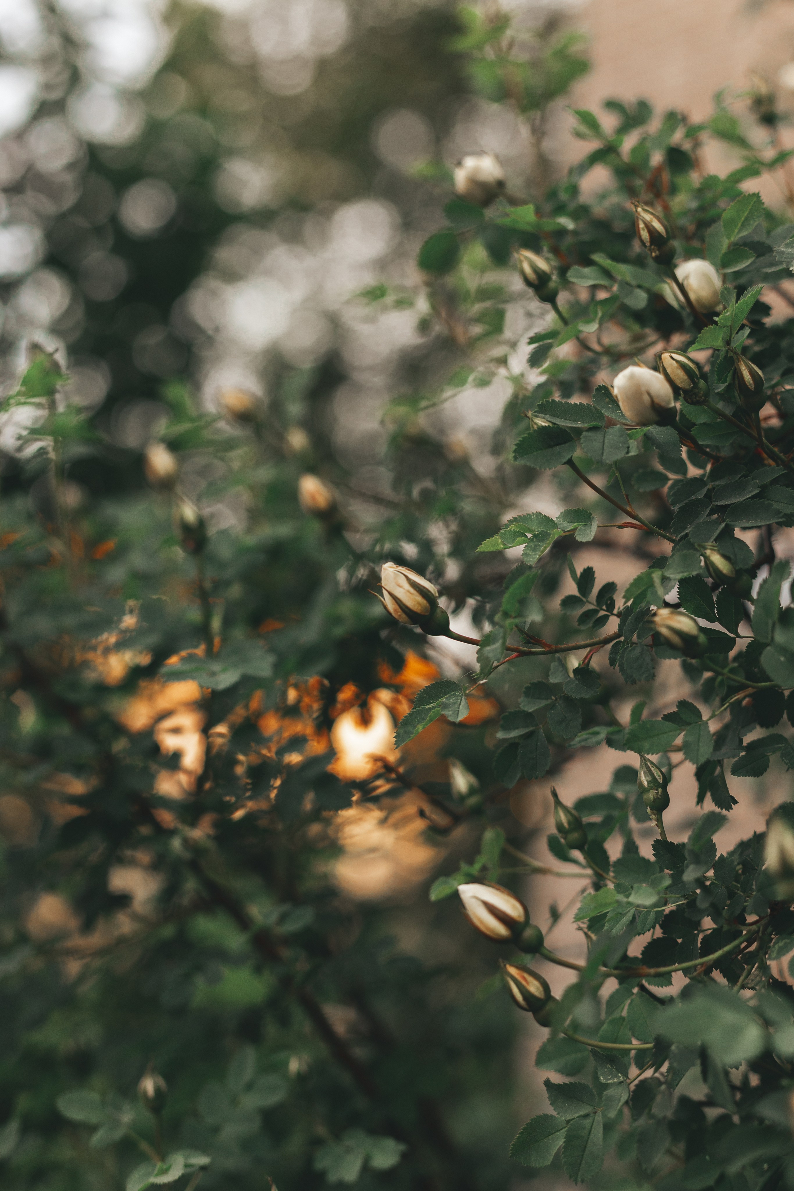 Пятёрка, Ленинский район | Ярославль. Фотограф в Ярославле Ольга Пыненкова