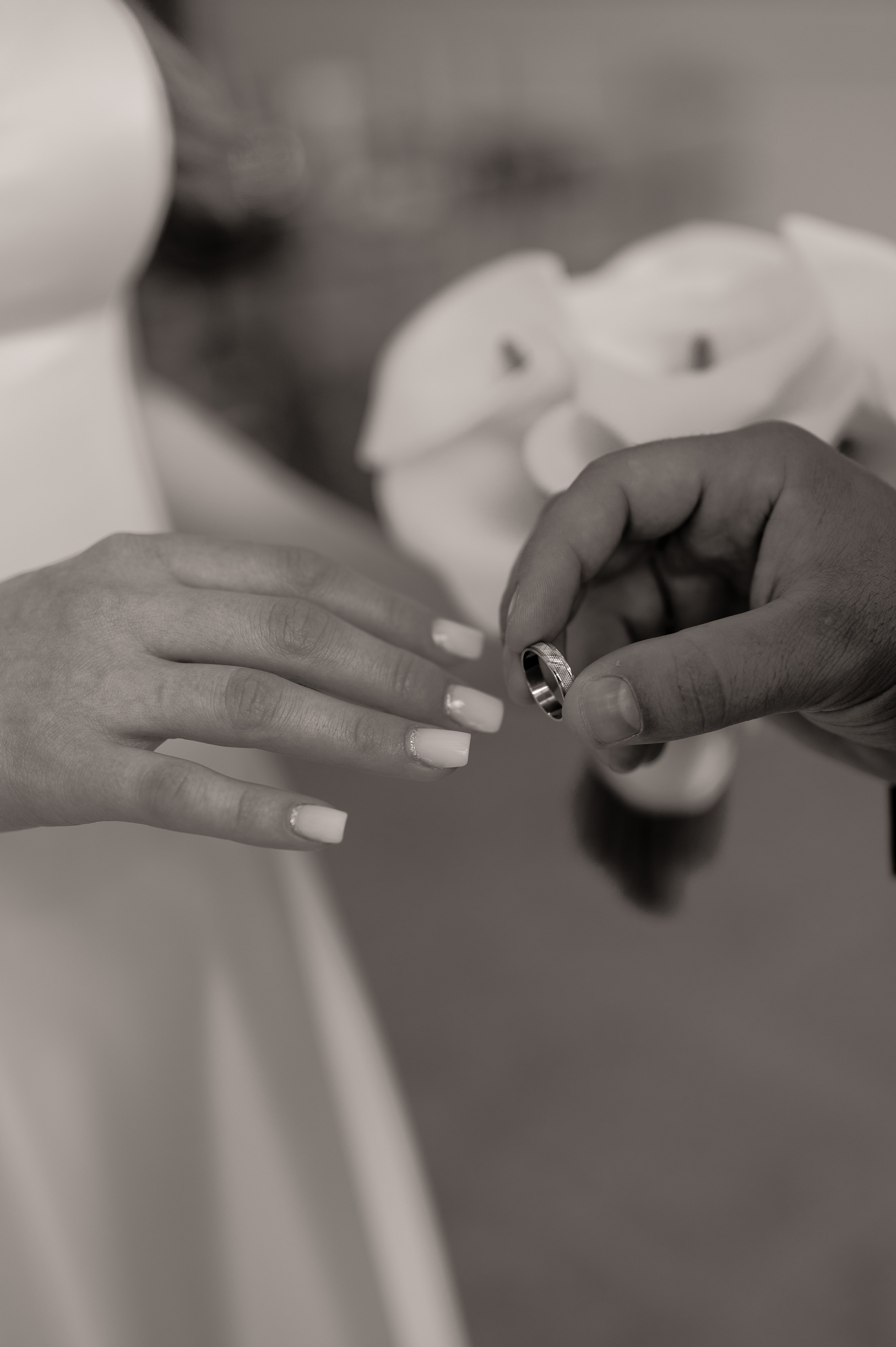 Загс (студия и прогулка). Свадебный и семейный фотограф в Краснодаре Алина Мельник