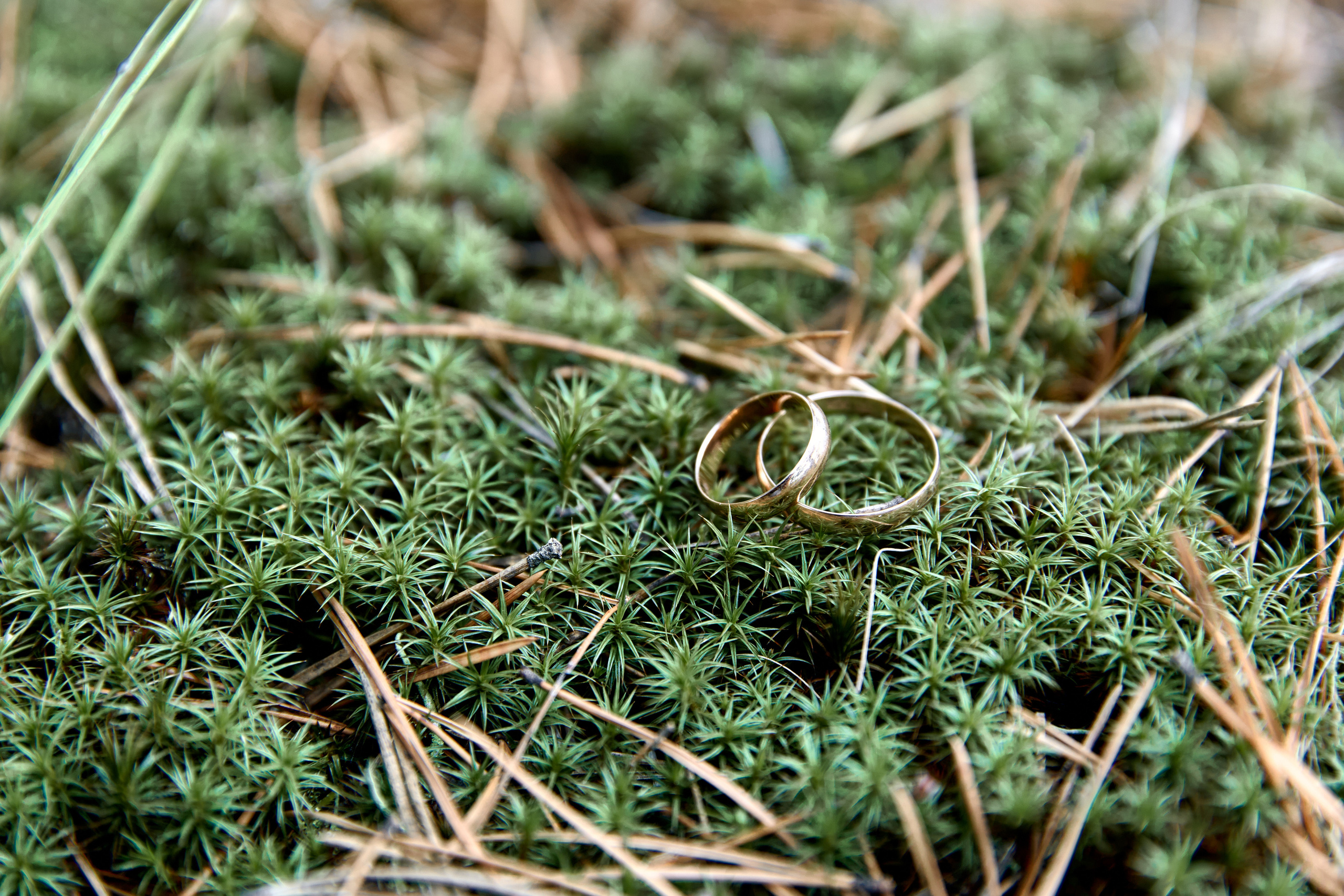 Свадьбы. Фотограф Александр Казин