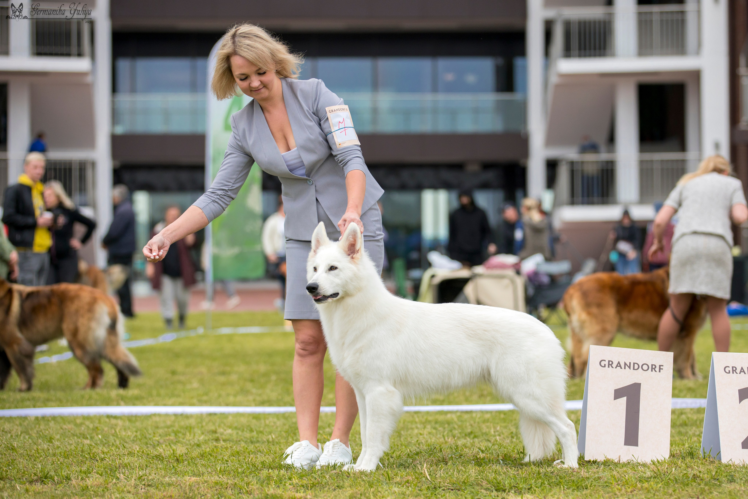 Переславль 9-10.09.2023. Фотограф-анималист Юлия Германика