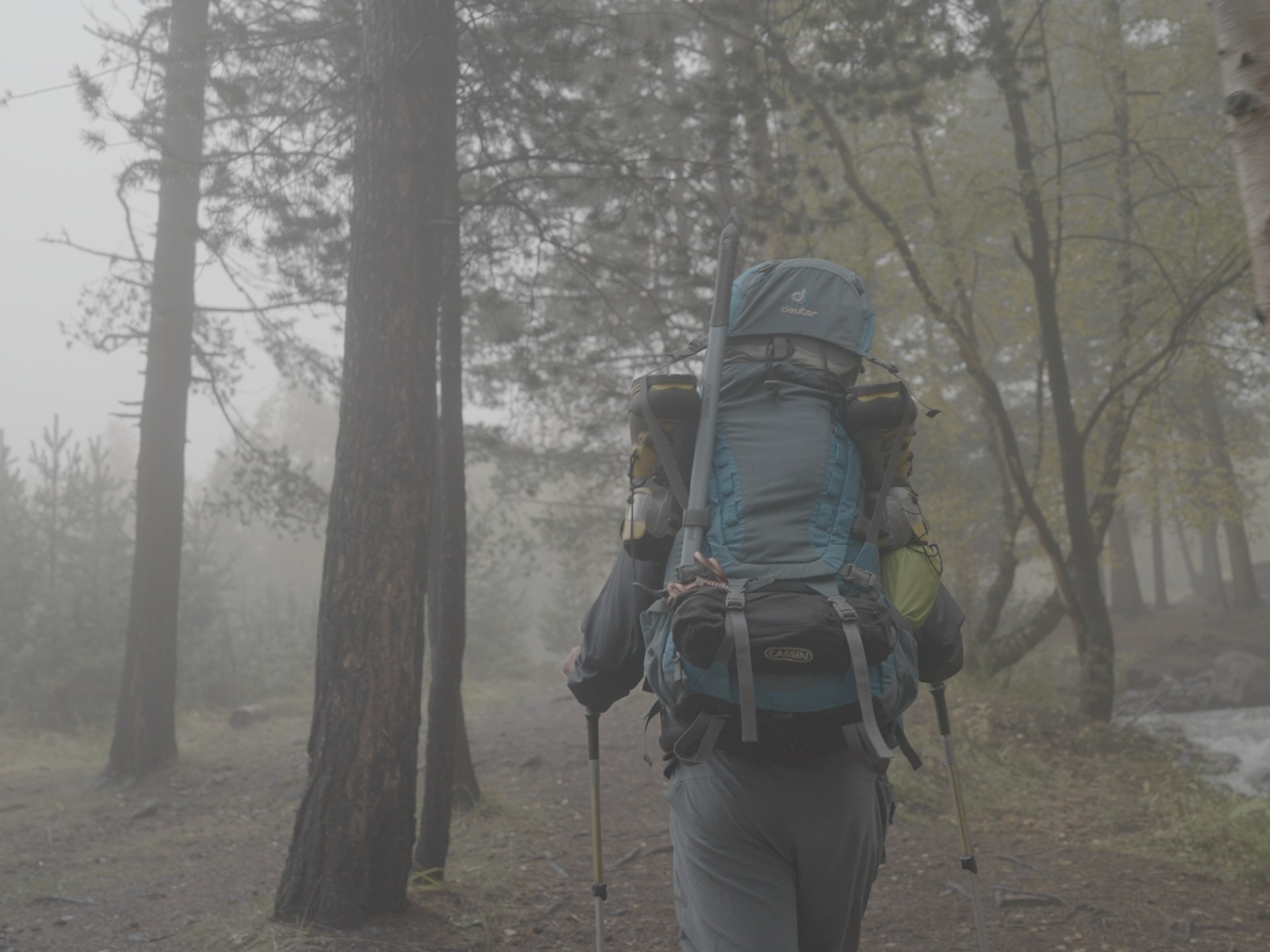 LUT SONY SLOG3. Видеооператор, Видеограф в Москве, Видео монтаж