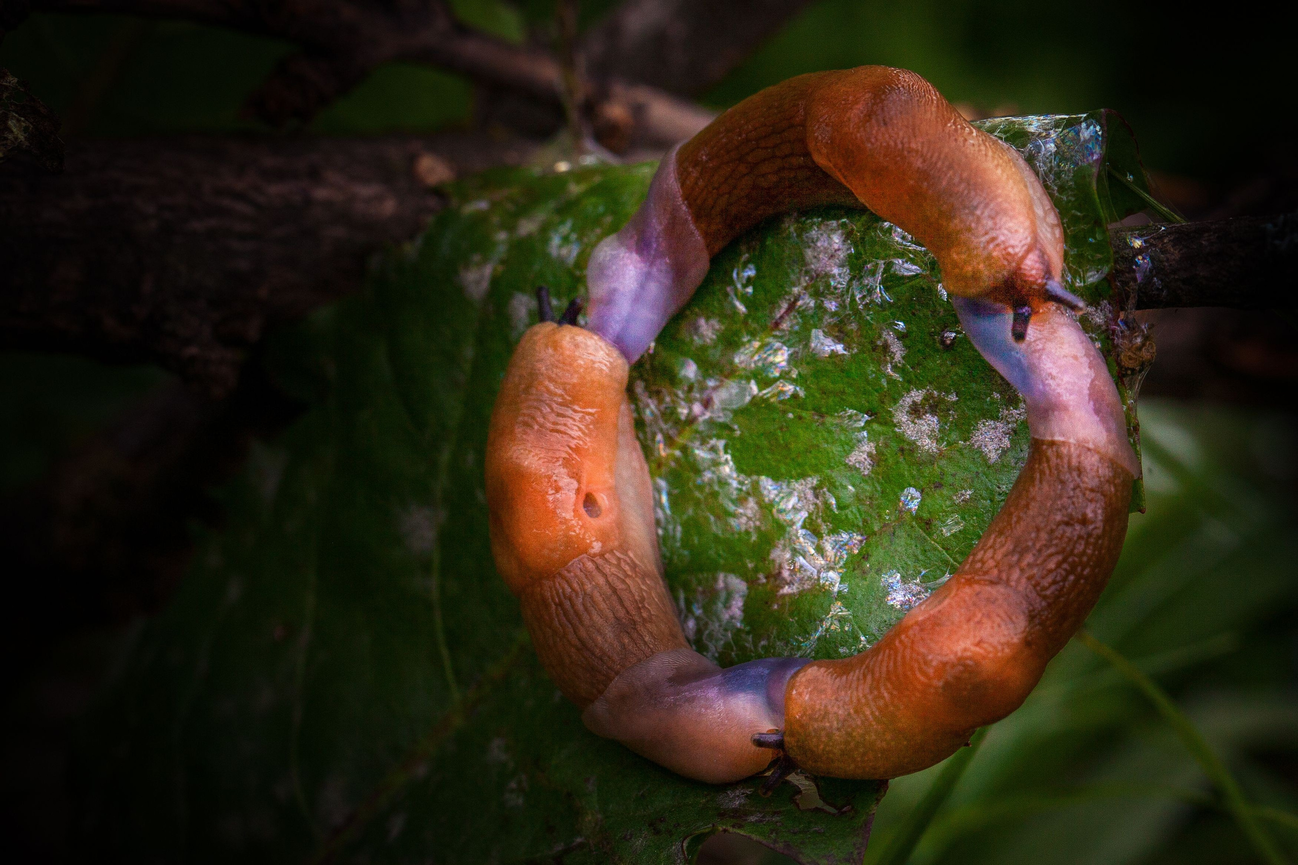 Красота вокруг нас. Медиапродюсер, фотограф в Минеральных Водах —Виктор Холодов