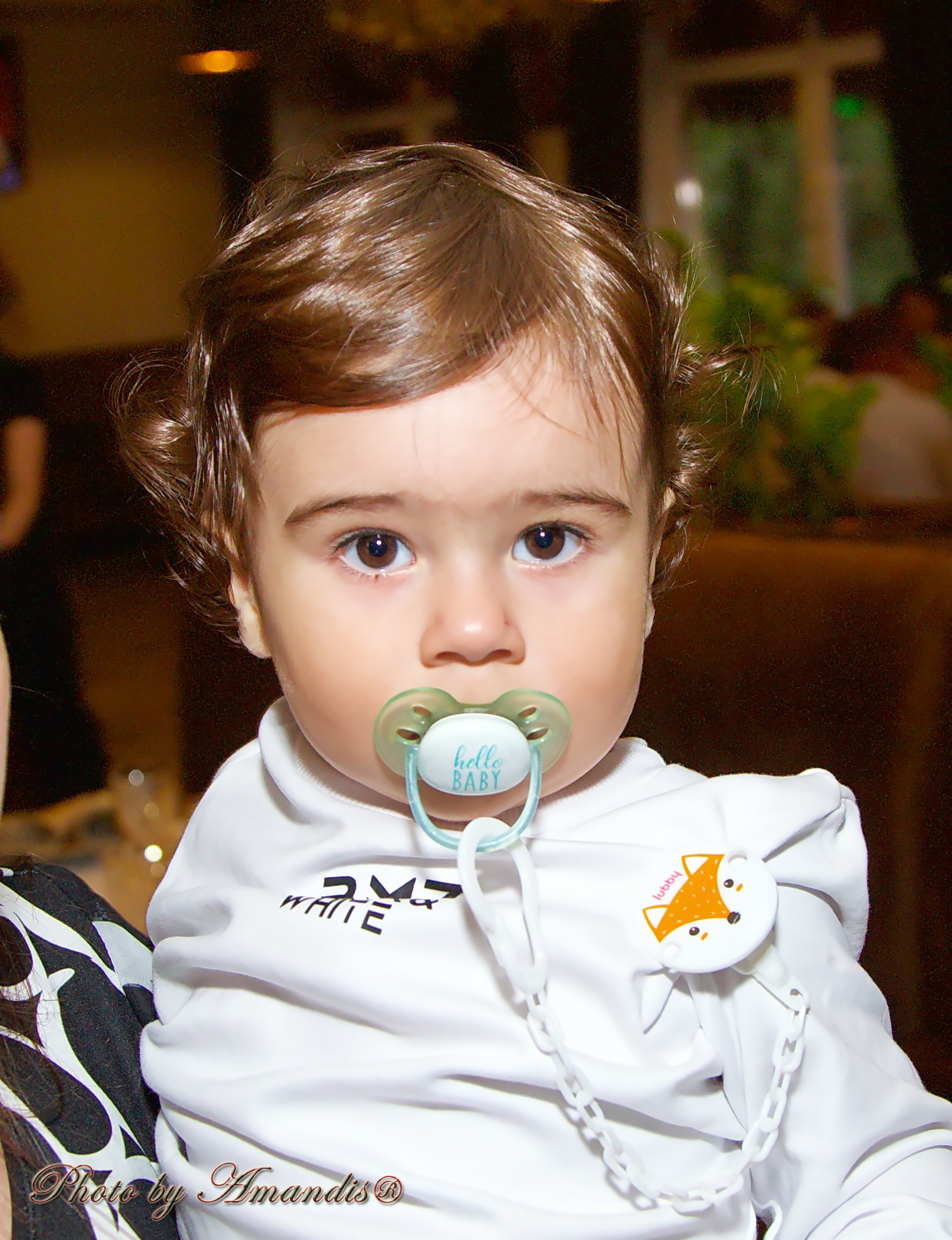 День рождения Марка. Репортажная съемка в Москве и области. Анималистика