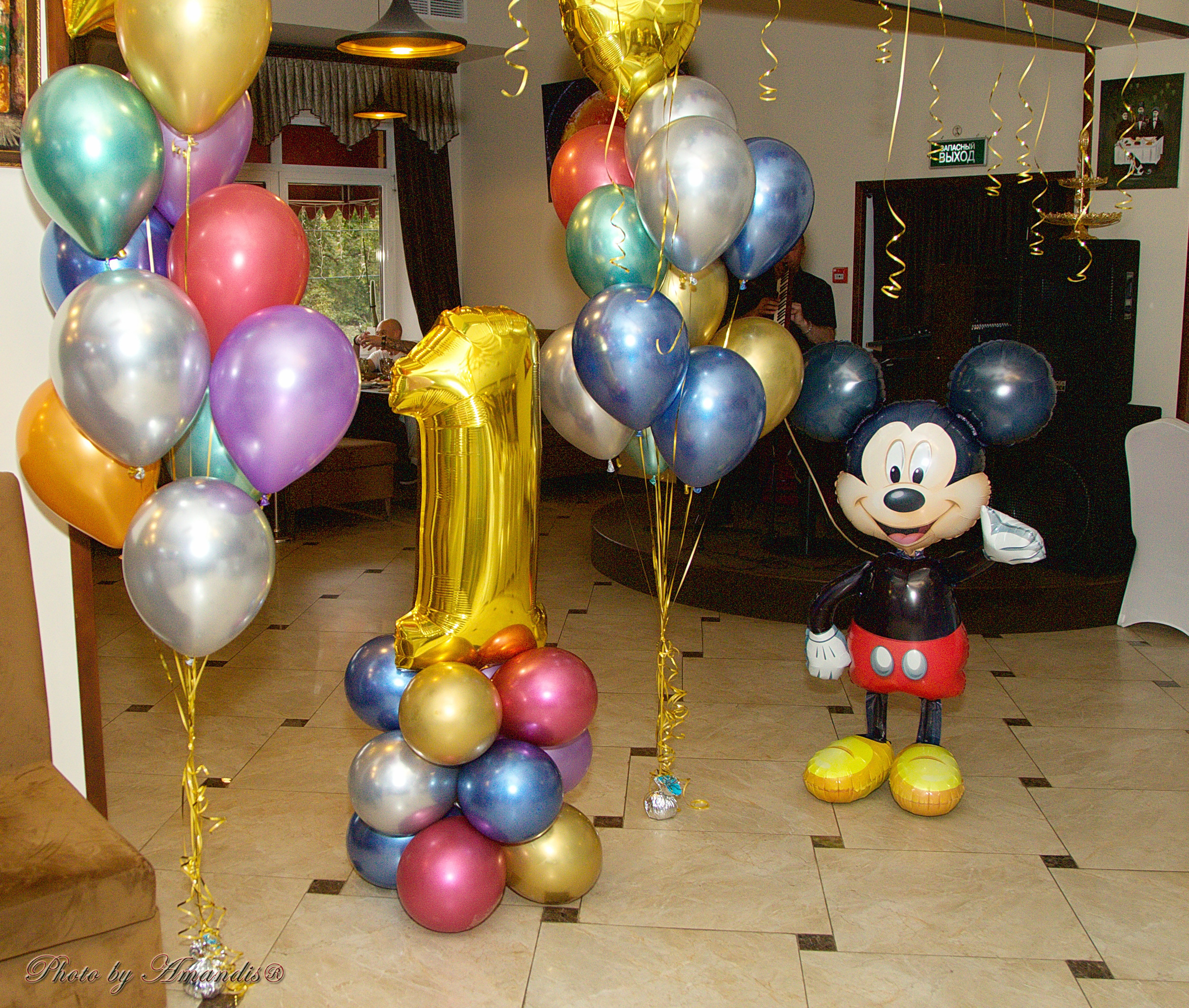 День рождения Марка. Репортажная съемка в Москве и области. Анималистика