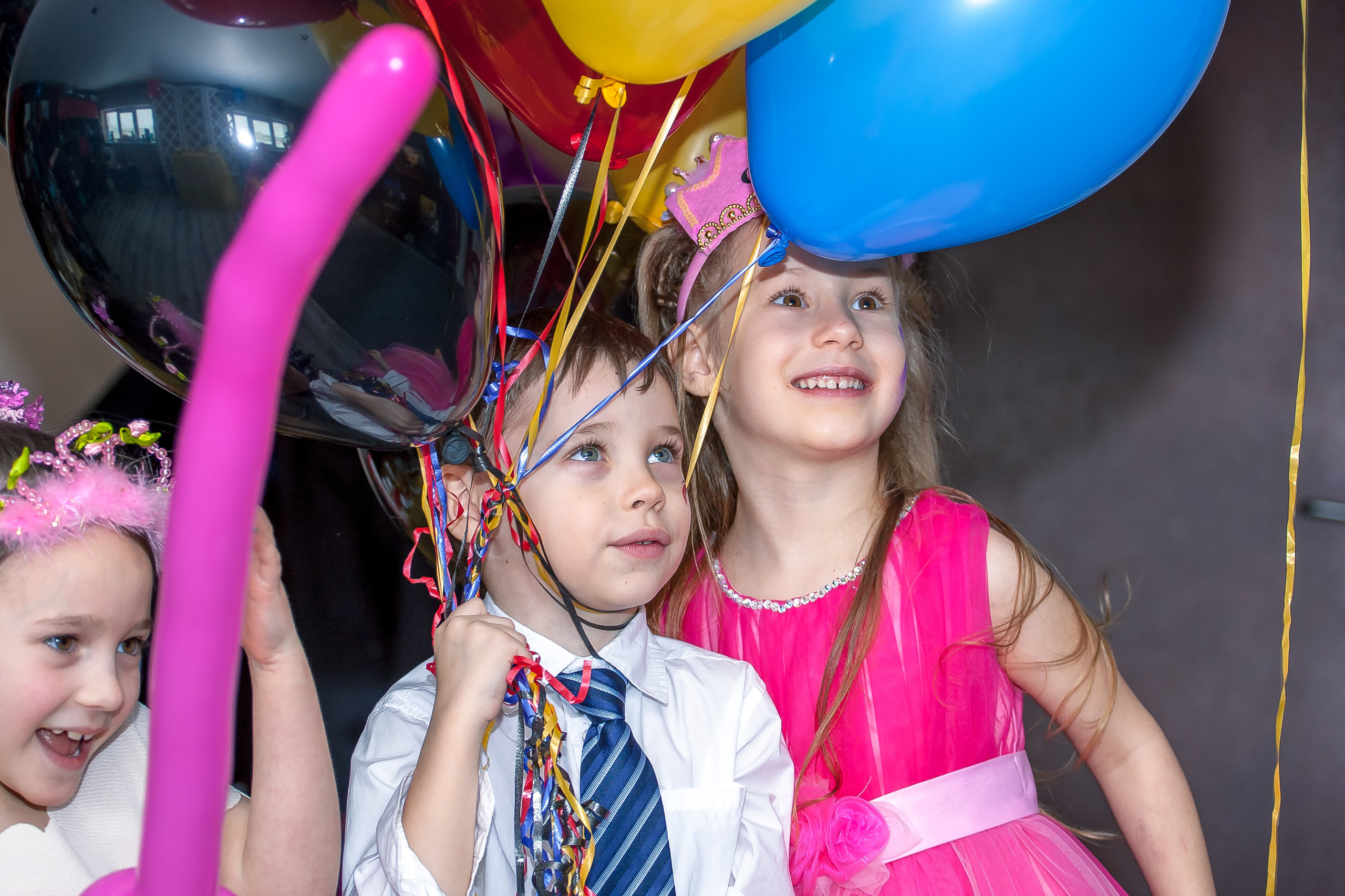 День рождения Арсения (6 лет). Репортажная съемка в Москве и области. Анималистика