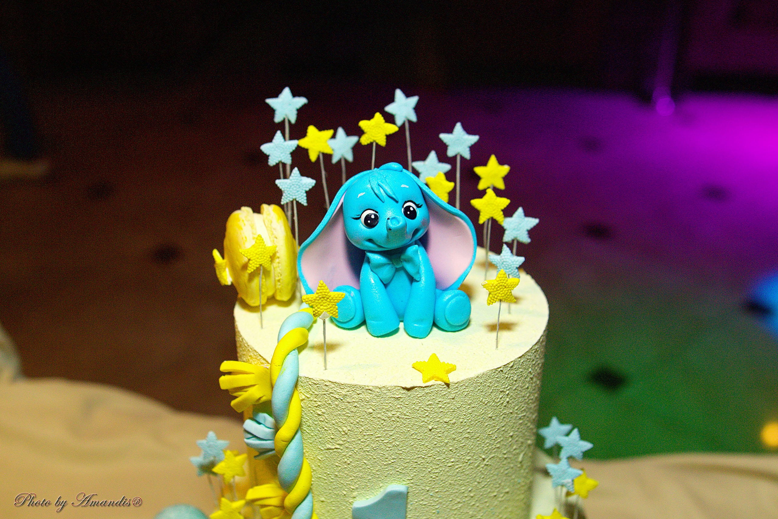 День рождения Марка. Репортажная съемка в Москве и области. Анималистика