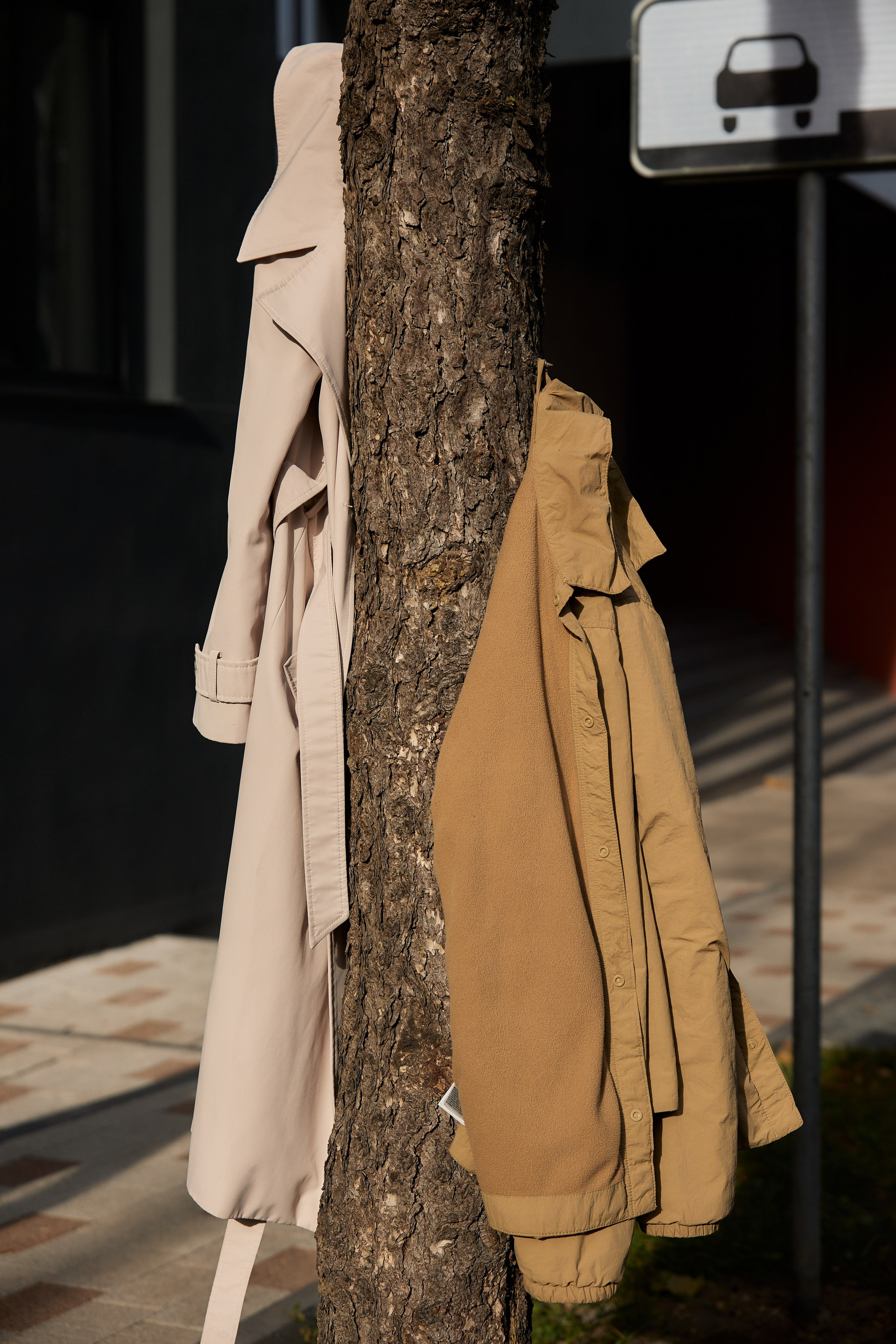 Арина и Даня. Свадебный и семейный фотограф