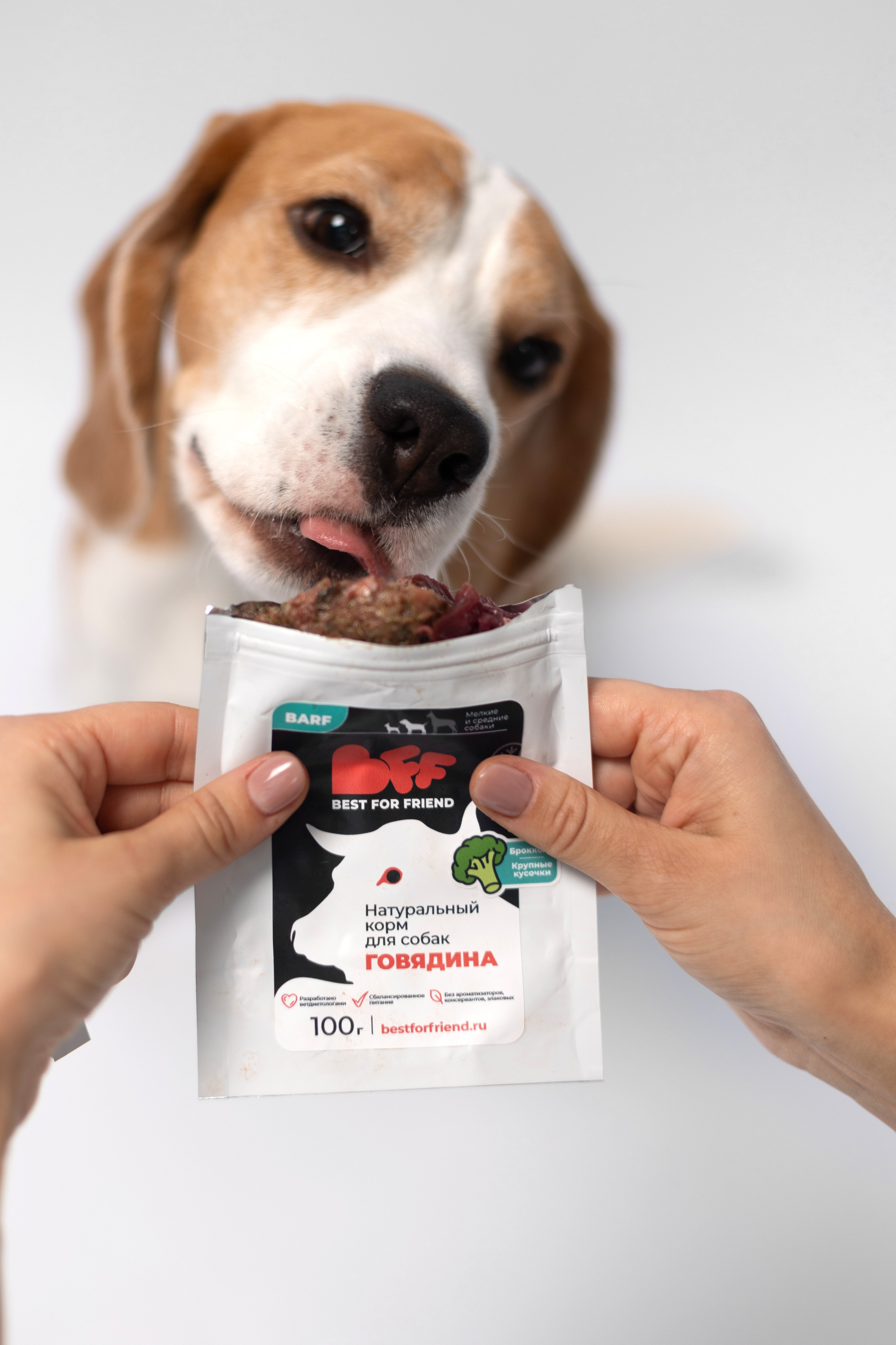 Best for friend (BFF). Фотограф анималист Кристина Карпова, Москва