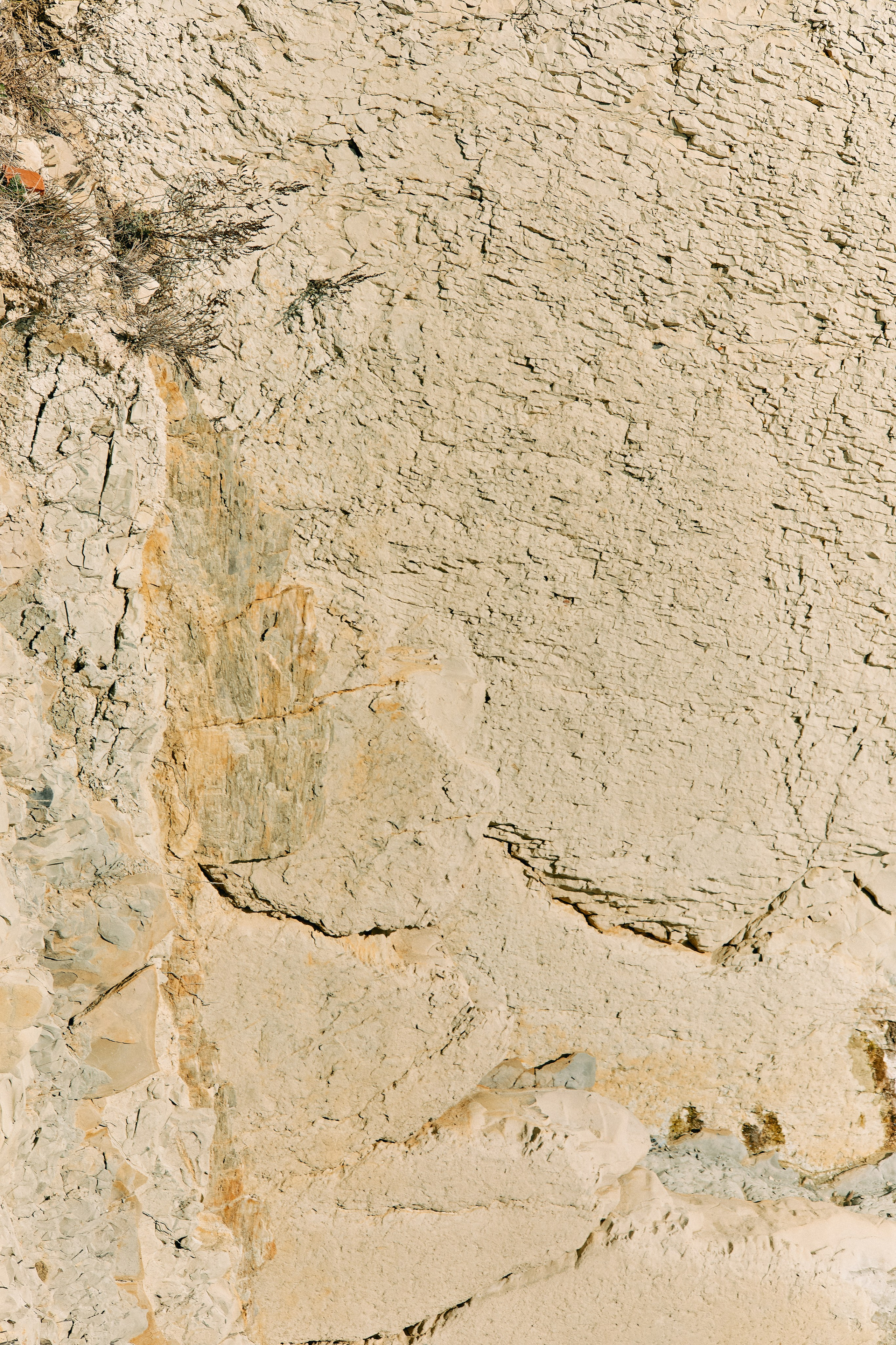 Юг России. Профессиональный Фотограф во Владимире, в Москве и в Суздале — Полина Романычева