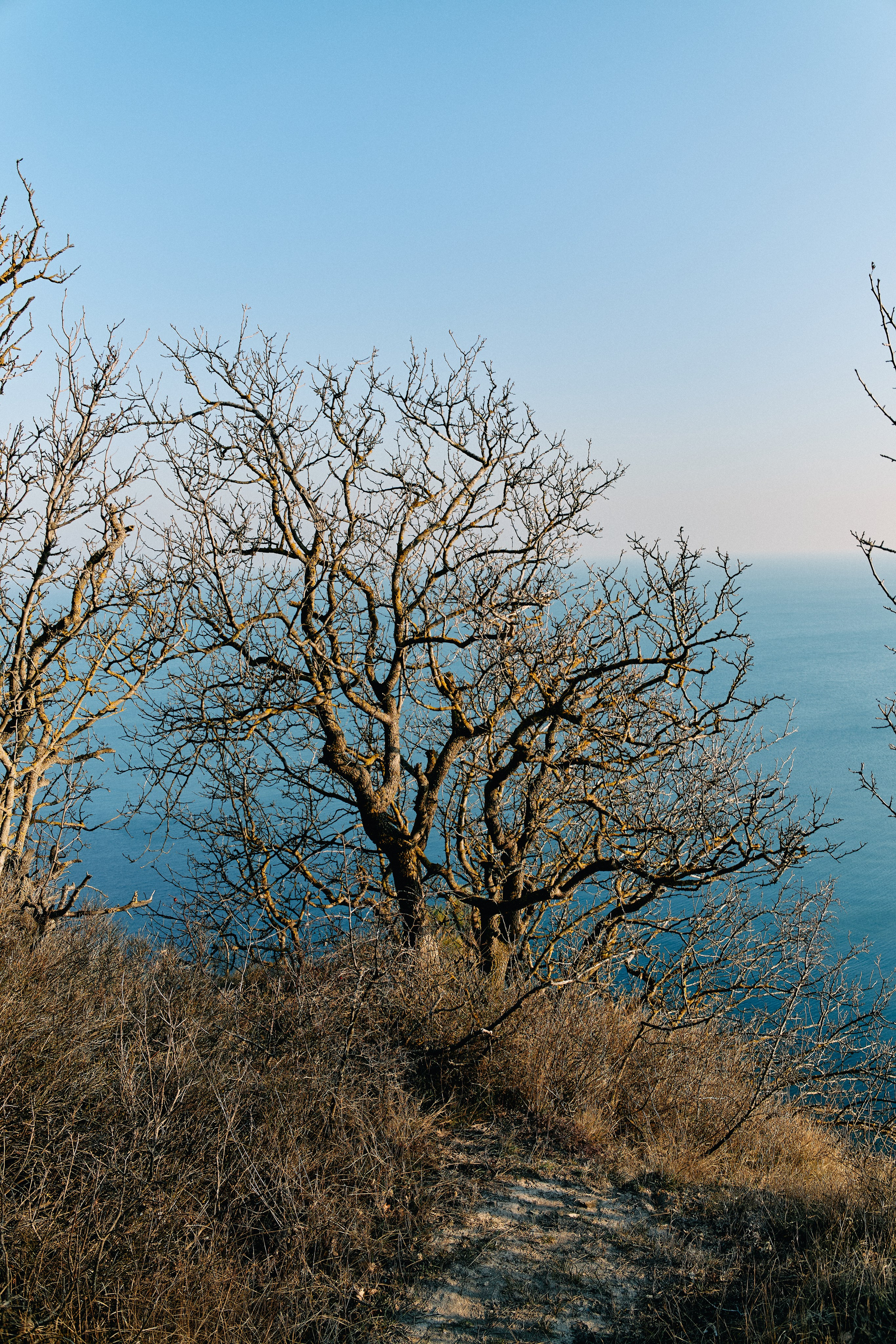 Юг России. Профессиональный Фотограф во Владимире, в Москве и в Суздале — Полина Романычева