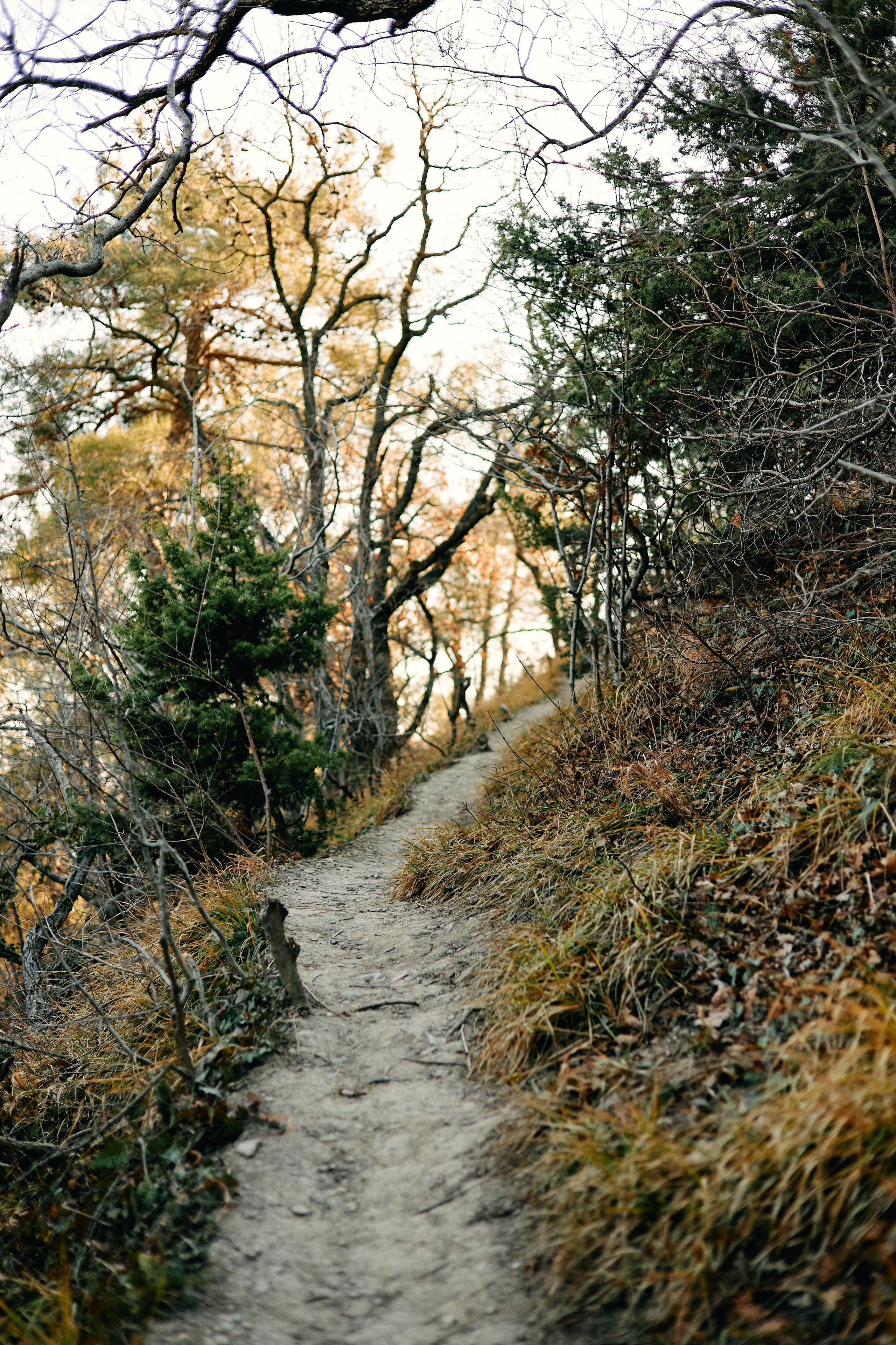 Юг России. Профессиональный Фотограф во Владимире, в Москве и в Суздале — Полина Романычева