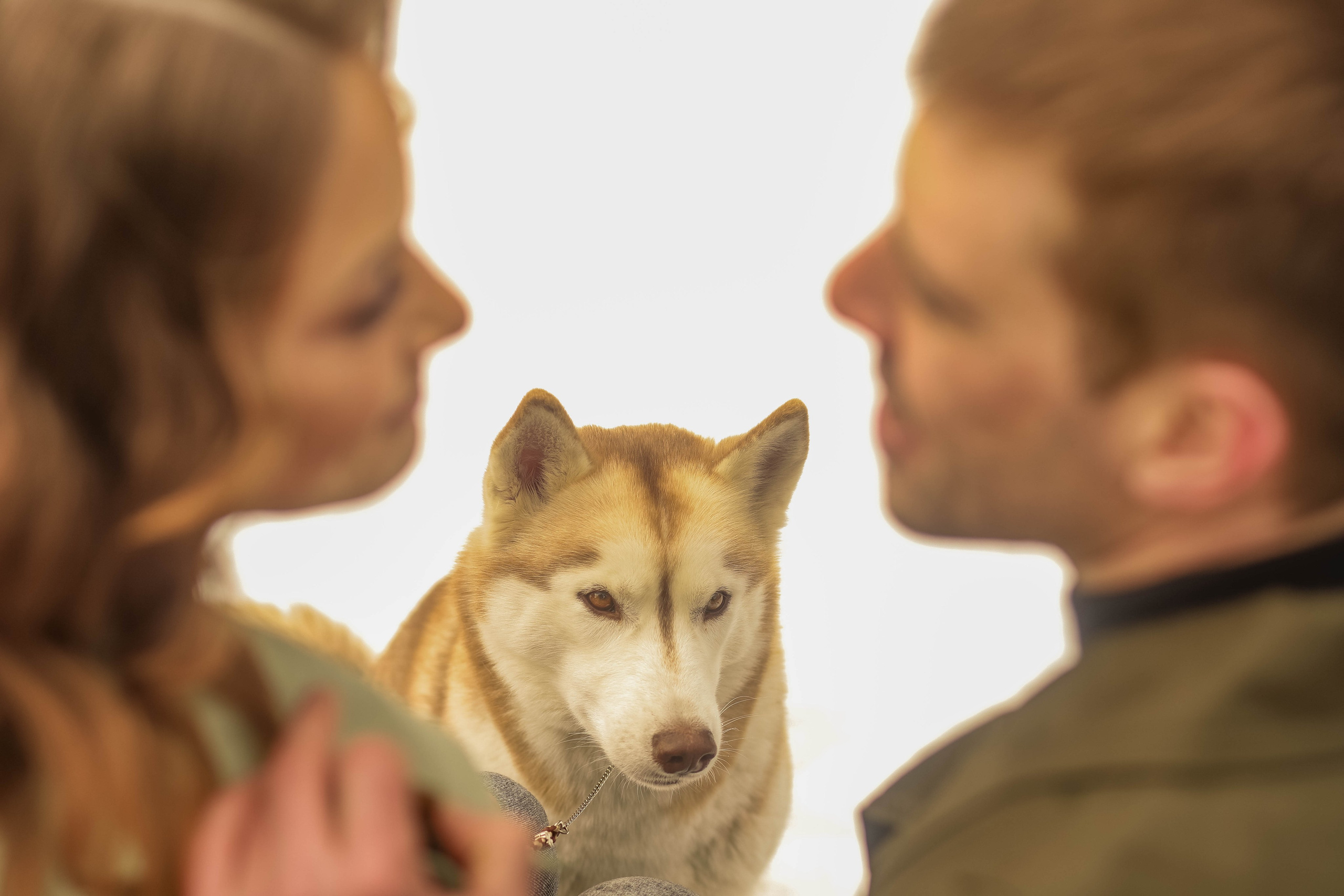 Лавстори. Семейный свадебный интерьерный фотограф Тверь Санкт- Марина Свистунова