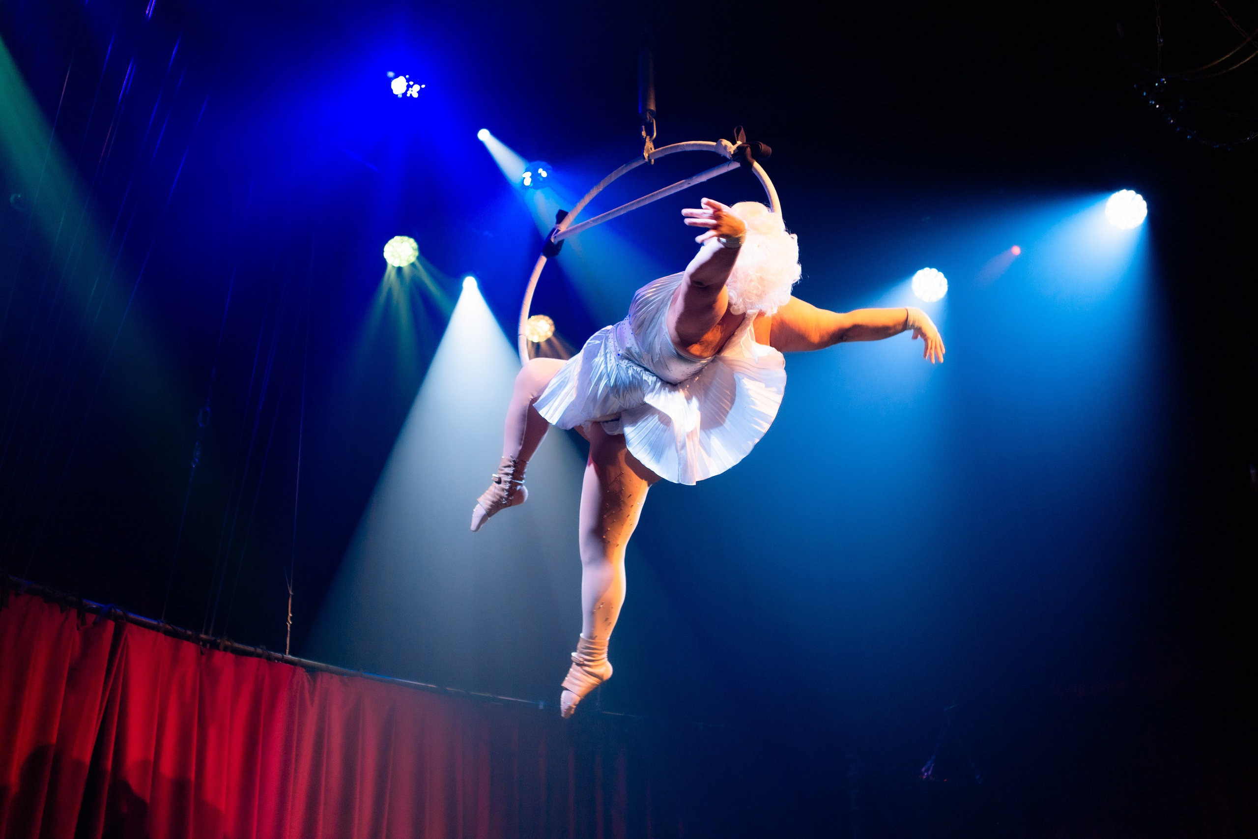 Цирковое шоу. Видеограф Добромыслов