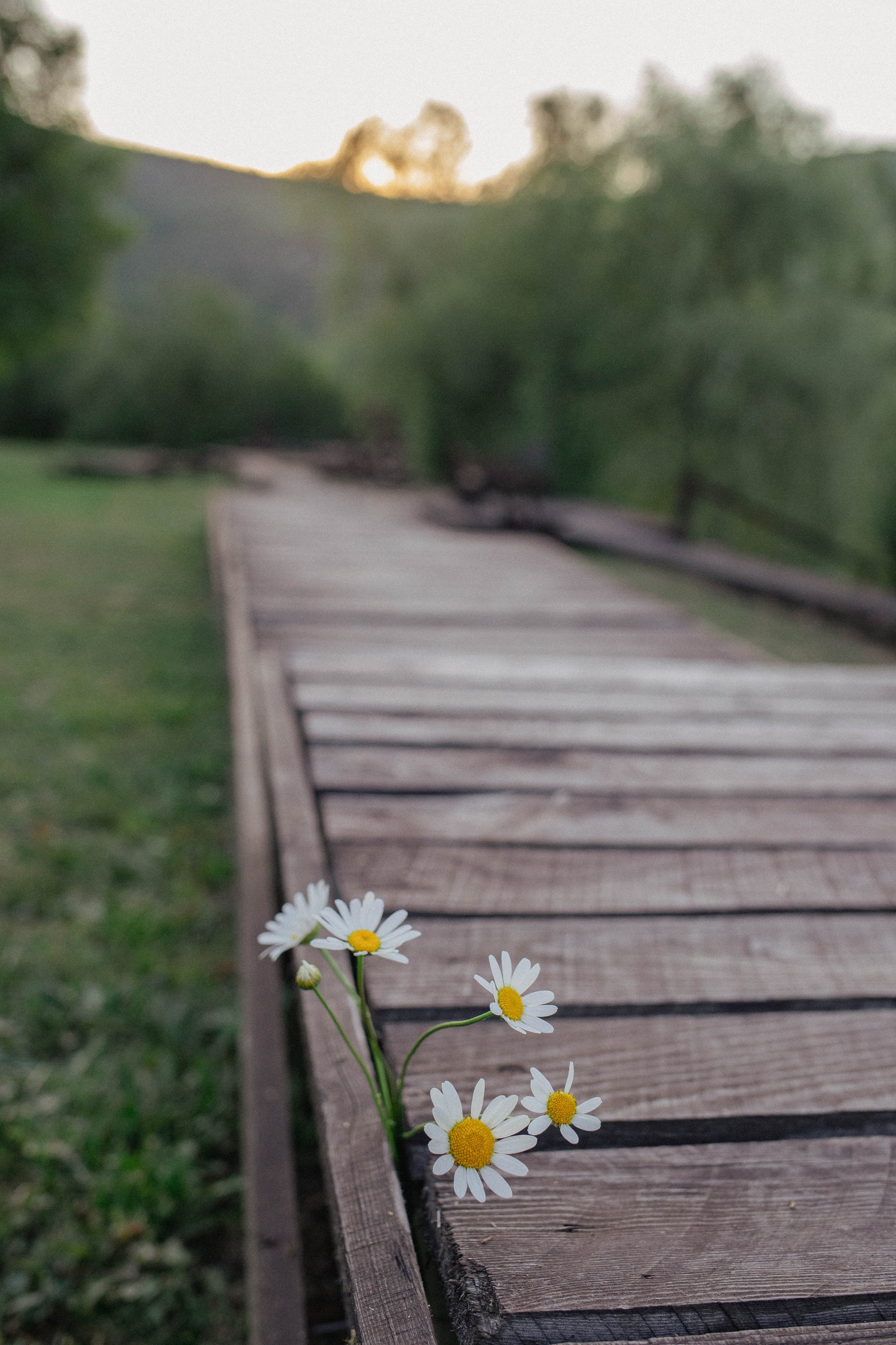 Узунджа. Фотограф Немазенко Ольга
