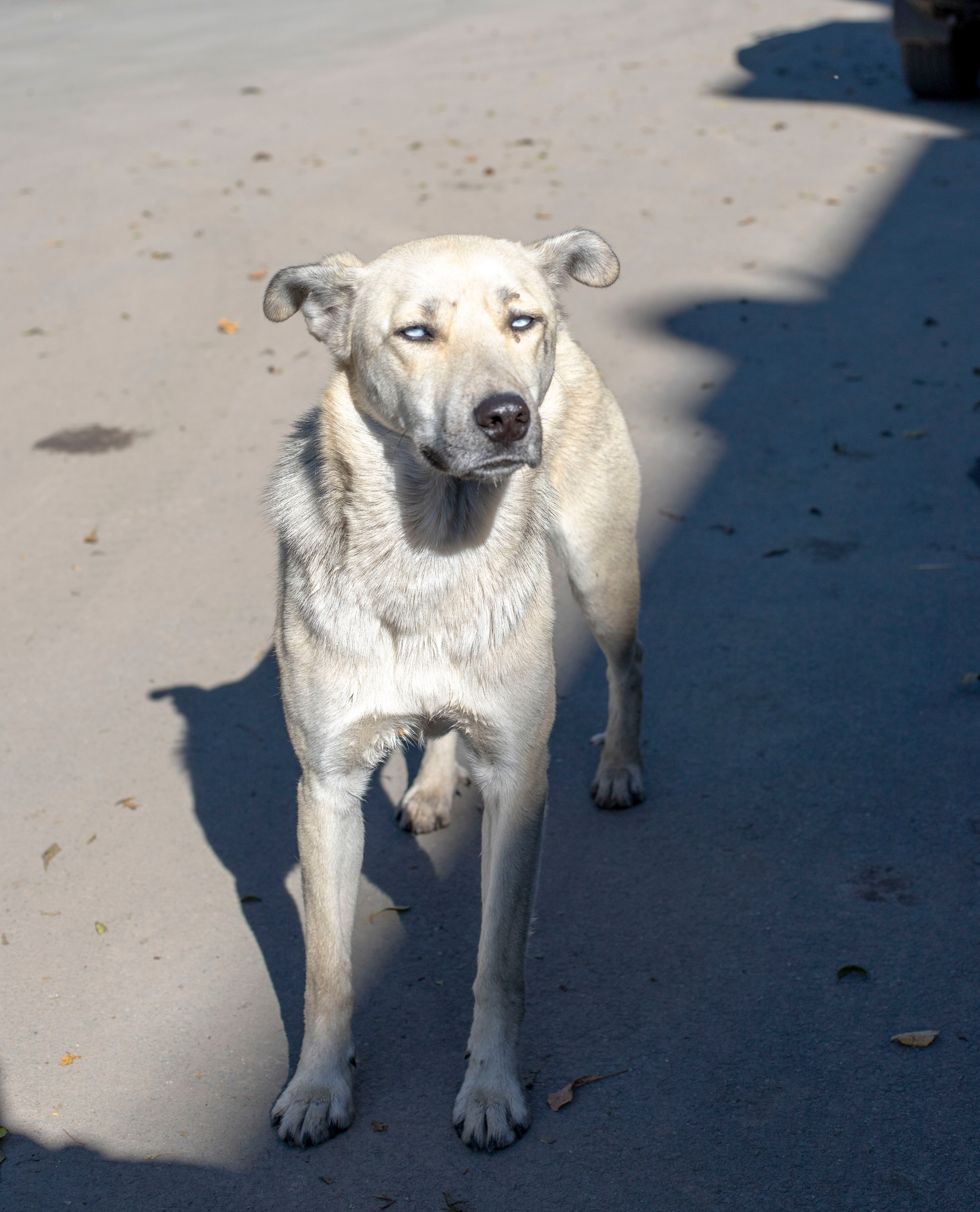 Выставка в г. Дилижан, Армения. Фоторепортаж А.Бабышевой. Арт-фотограф Ксения Якутович
