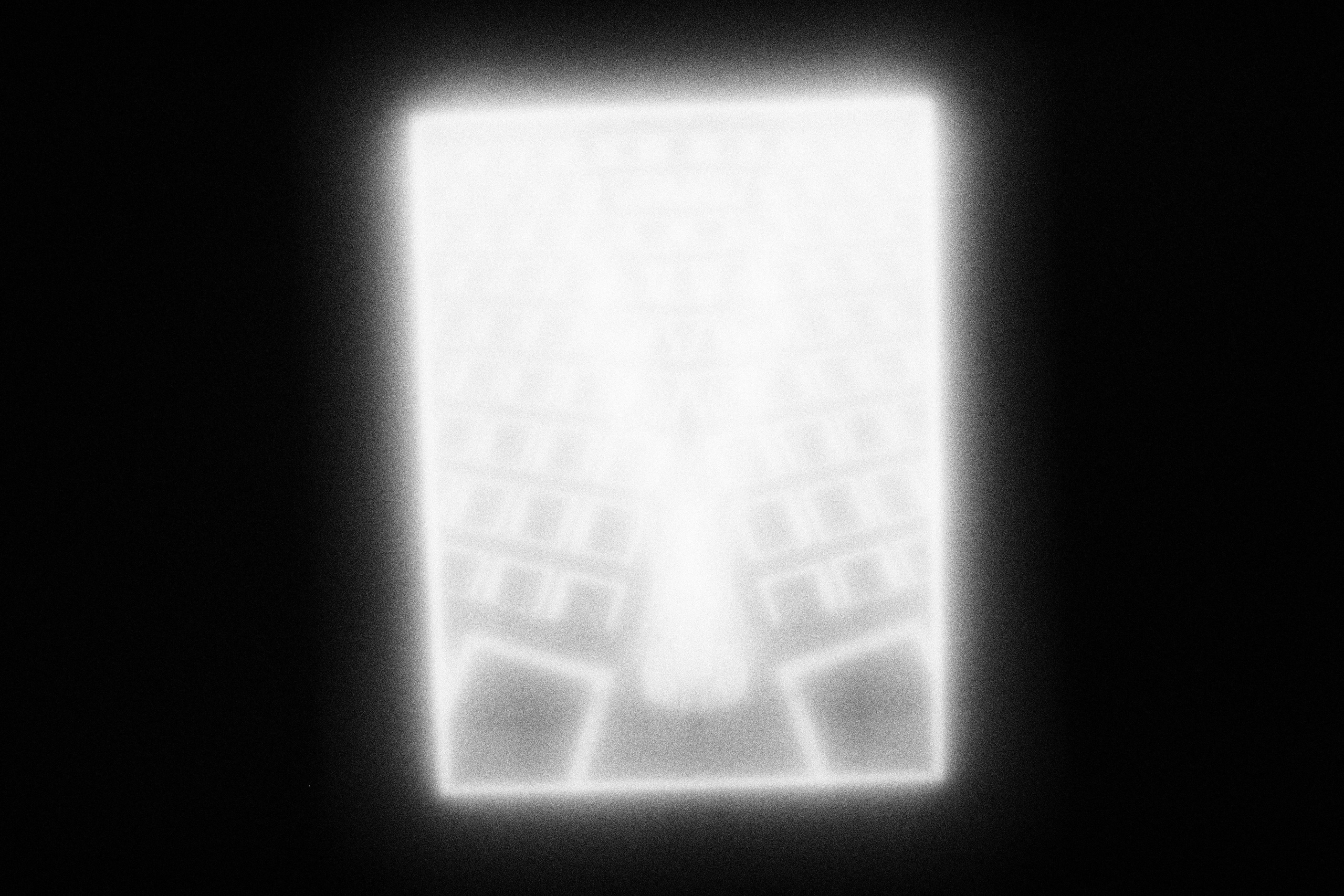 Маленькие искусства и я, Полина Шадрина