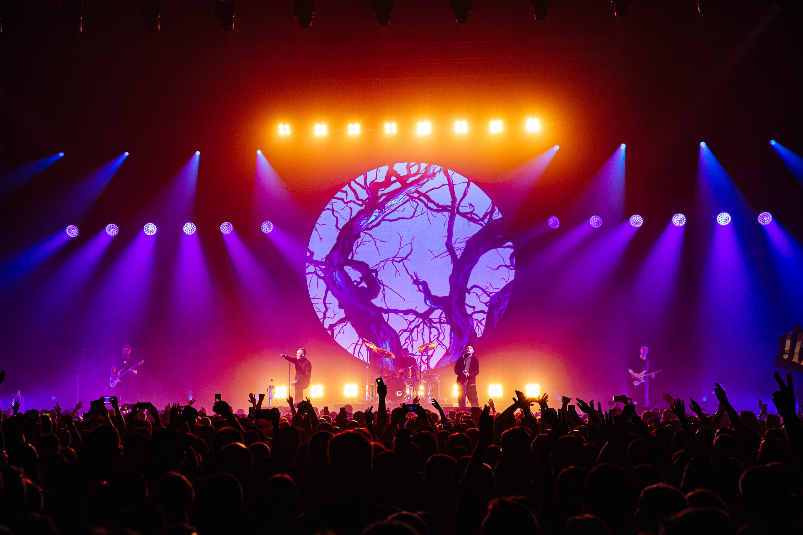 25/17 / САНКТ-ПЕТЕРБУРГ / 2024. OOPS