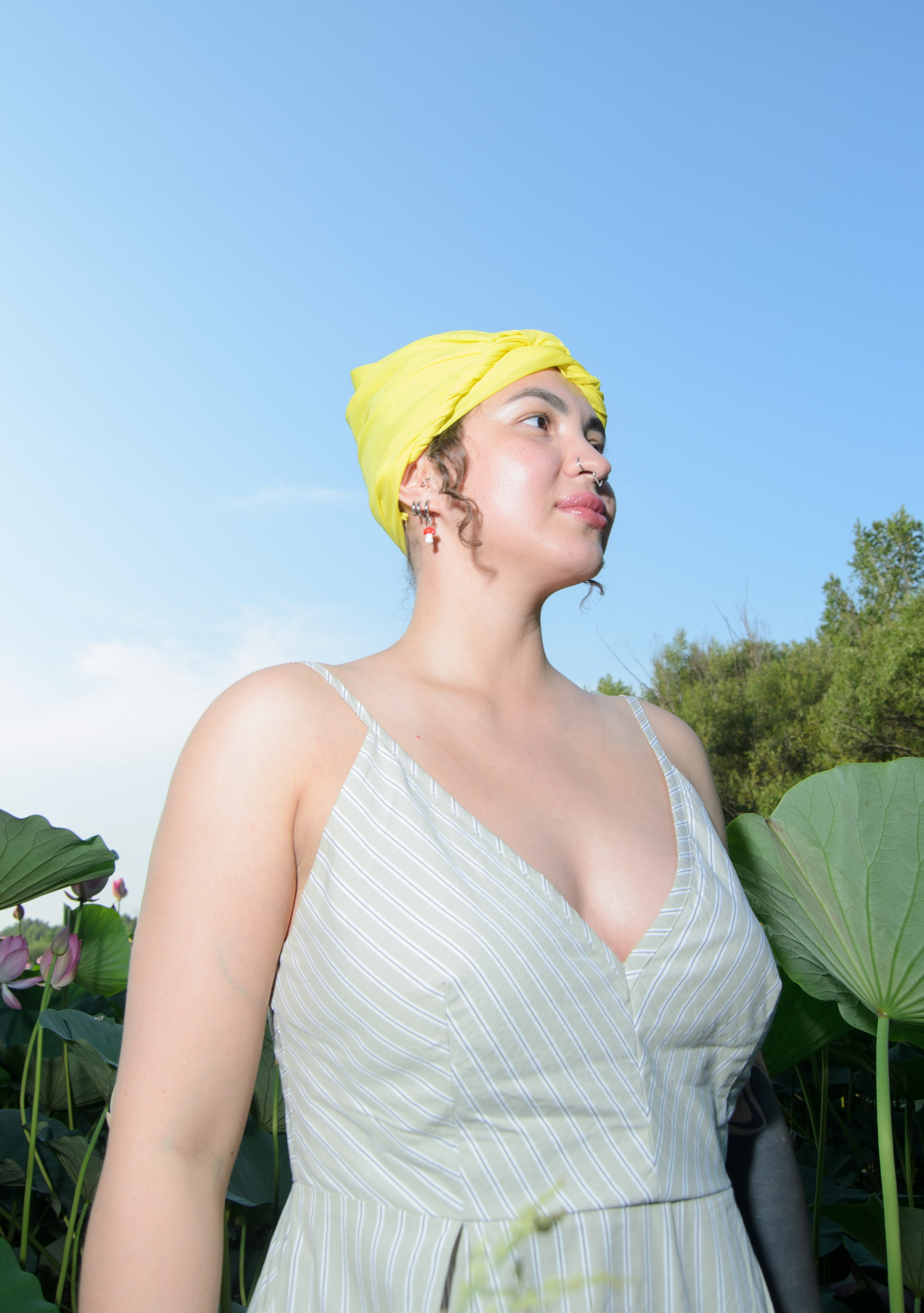 Лотосы. Колентеева Наталья/фотограф