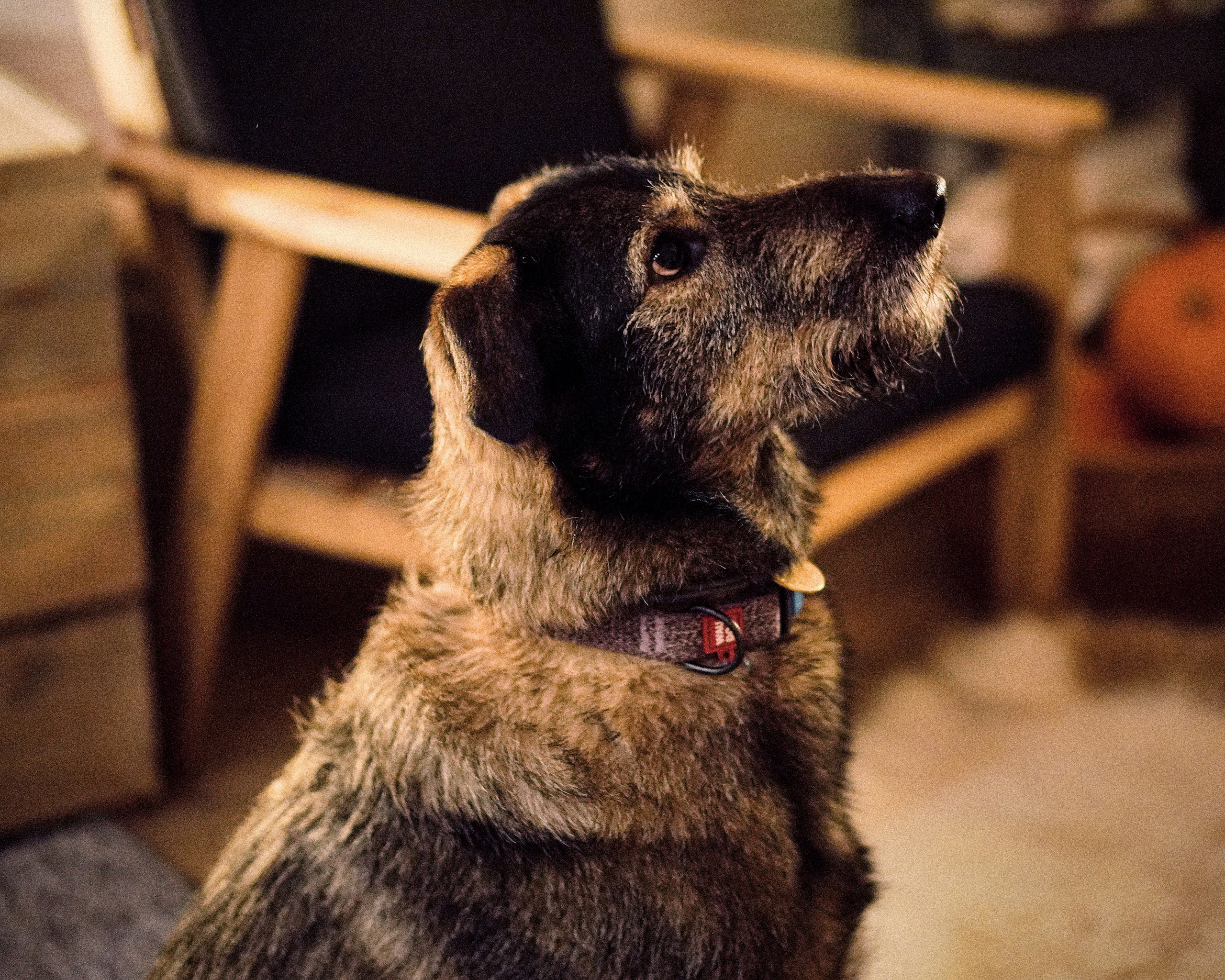 «Нет друзей ближе тебя». Фотограф Казань