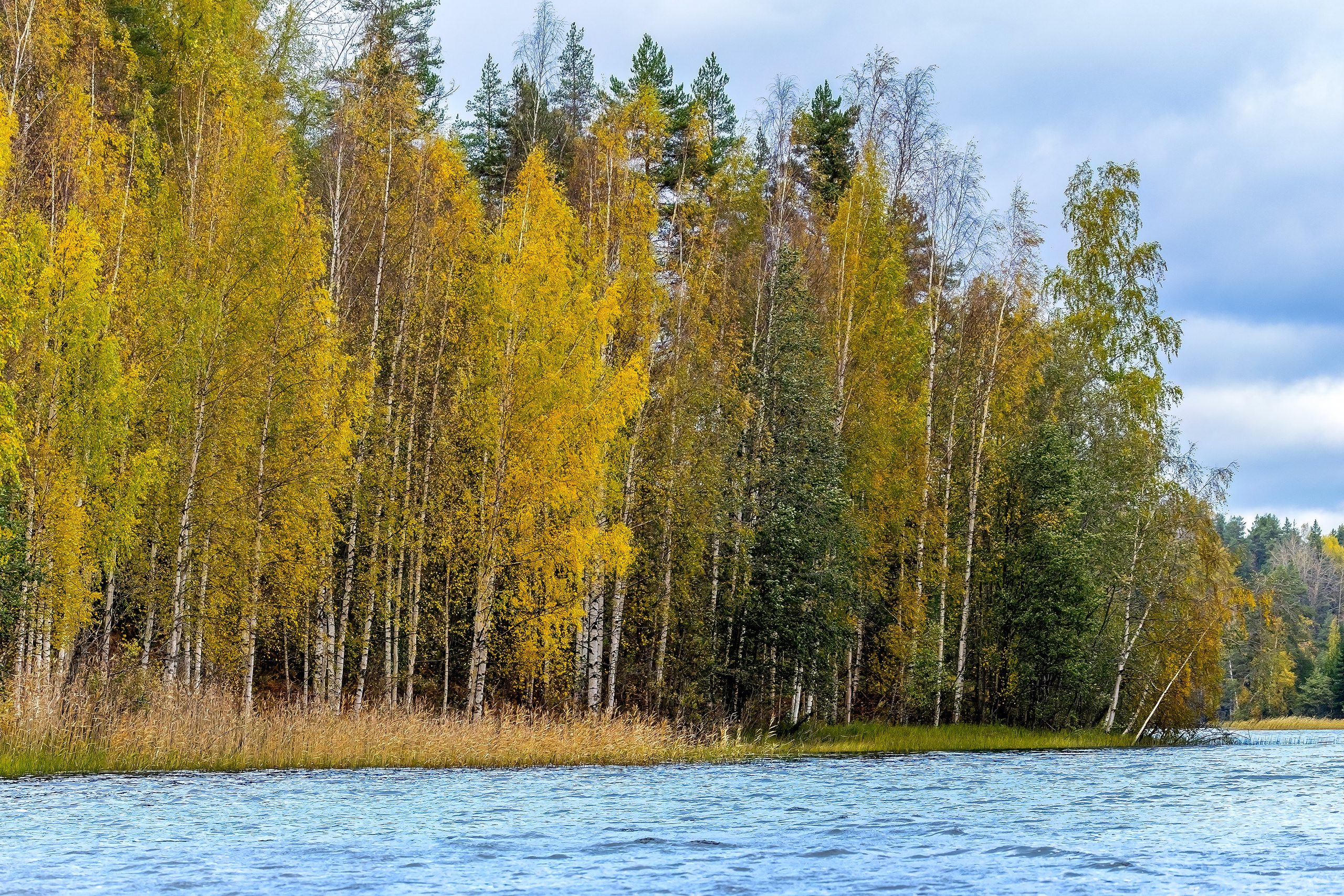 Природа Карелии. Аэросъемка. Фото и Видео в Карелии. Алексей Фрилунд