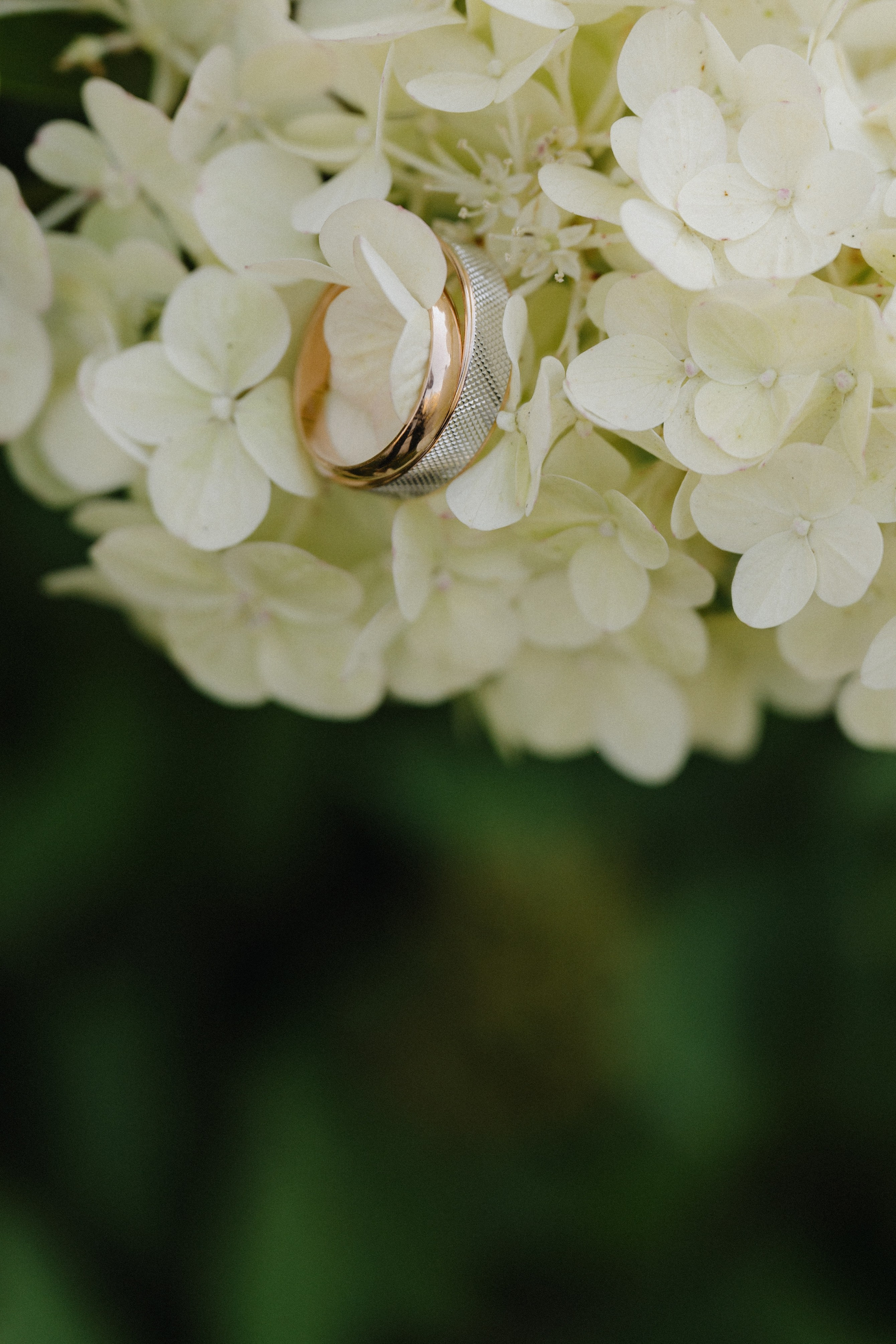 Дозураш & Александр