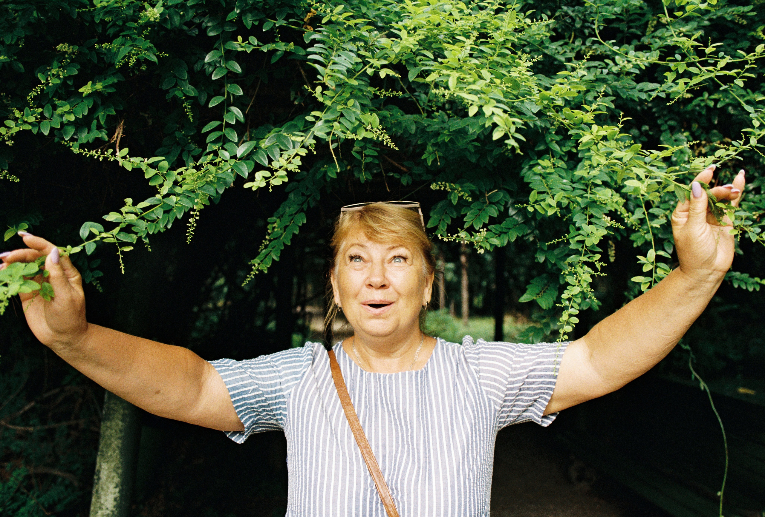 Плёнка. Главная