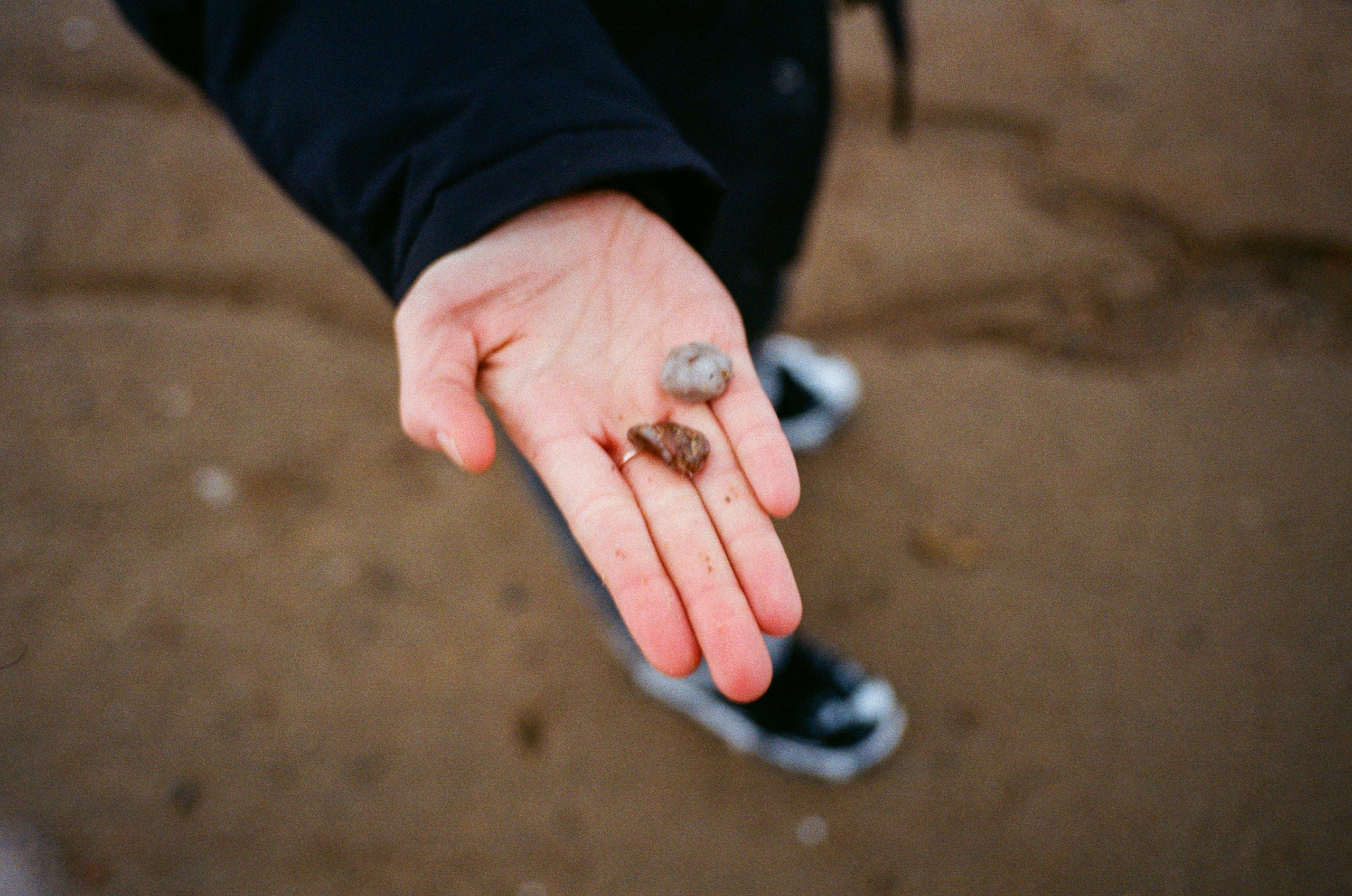 Roadtrip. Maria Abdullaeva