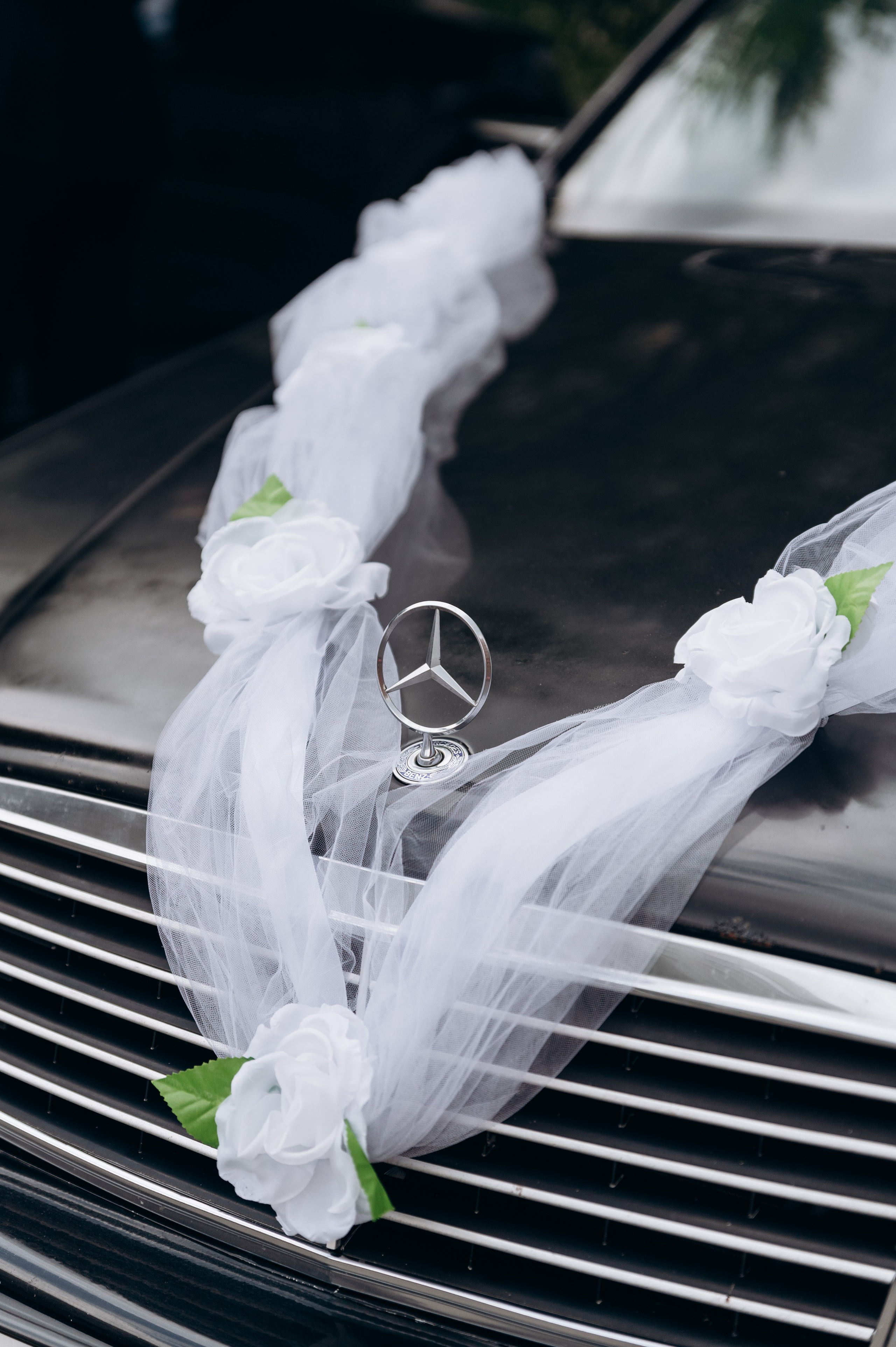 Регистрация и прогулка. Фотограф в Новосибирске