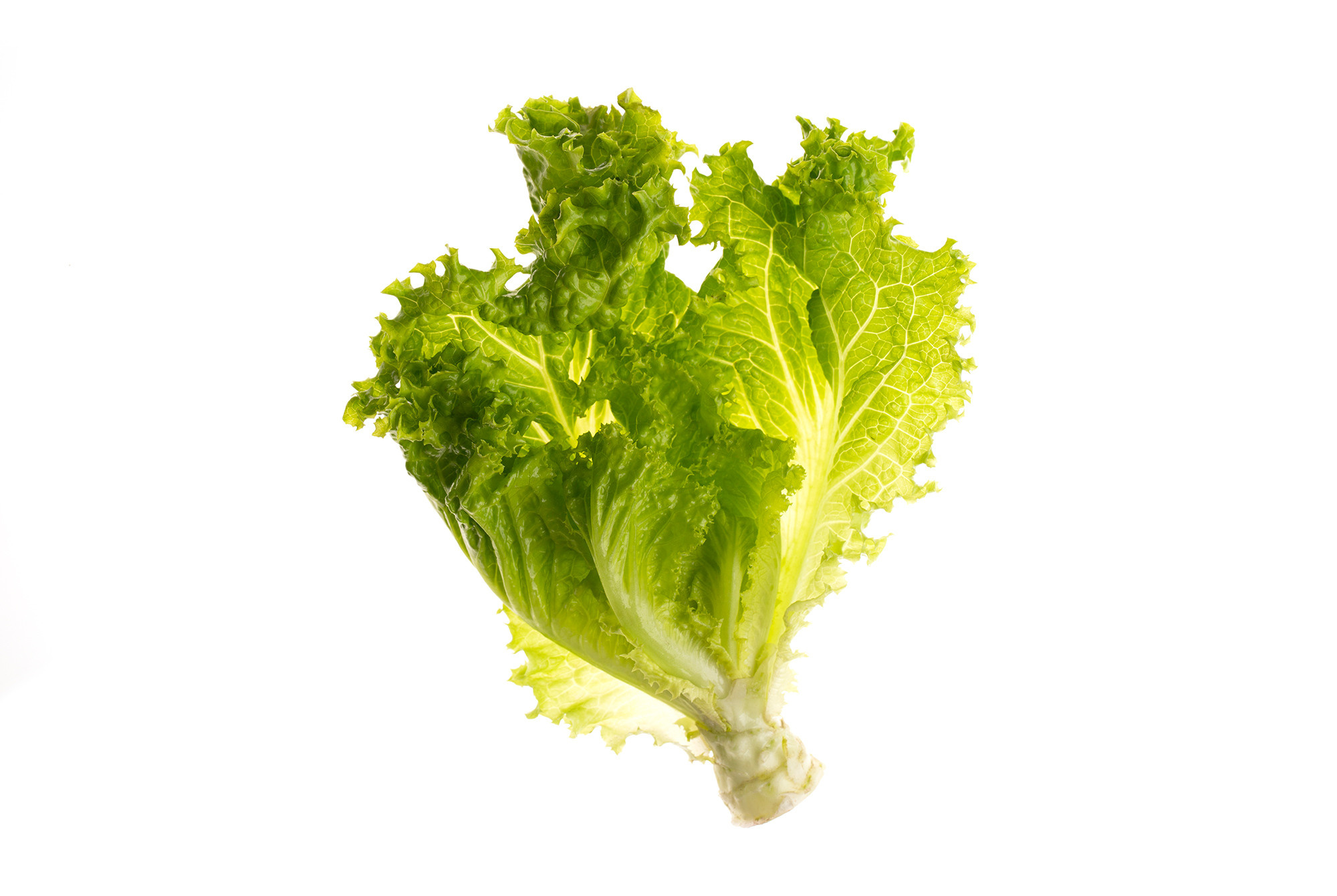 На белом фоне. Предметный и рекламный фотограф в Ростове-на-Дону Кристина Орлова