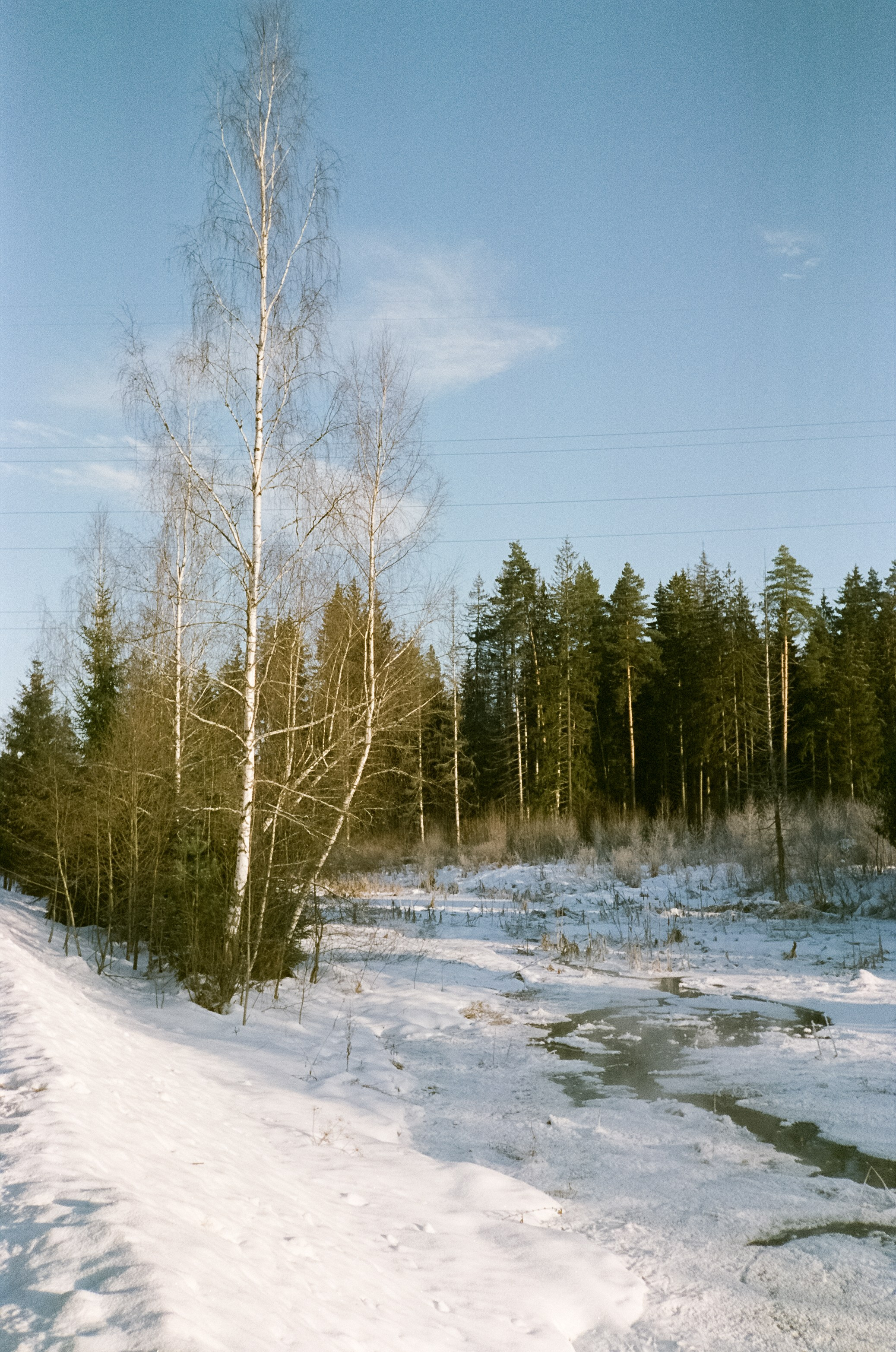 Chinon Auto 3001 (2) / Fuji Eterna 250D (ISO 100) / Давыдовское, Лукин