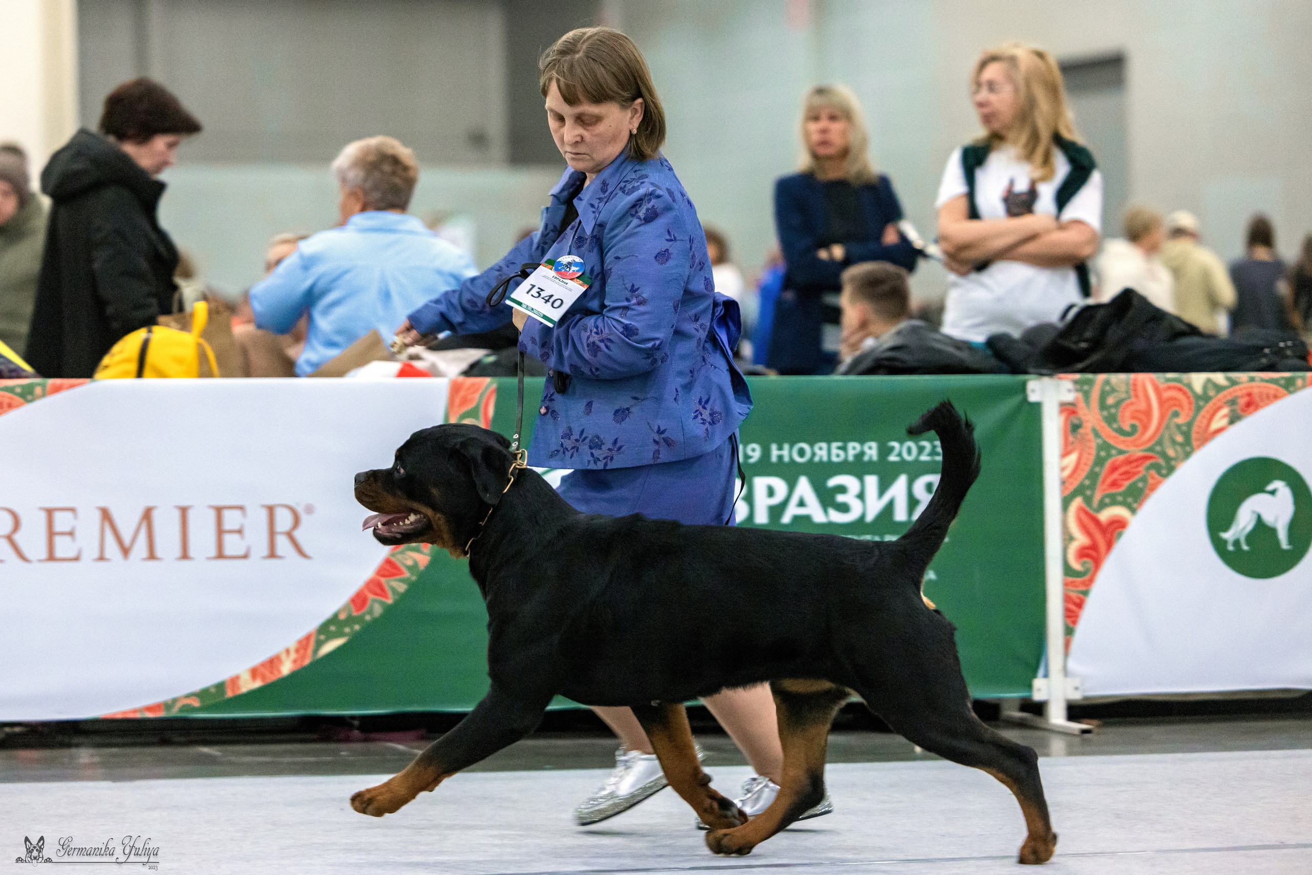 ЕВРАЗИЯ 18-19.11.2023. Фотограф-анималист Юлия Германика