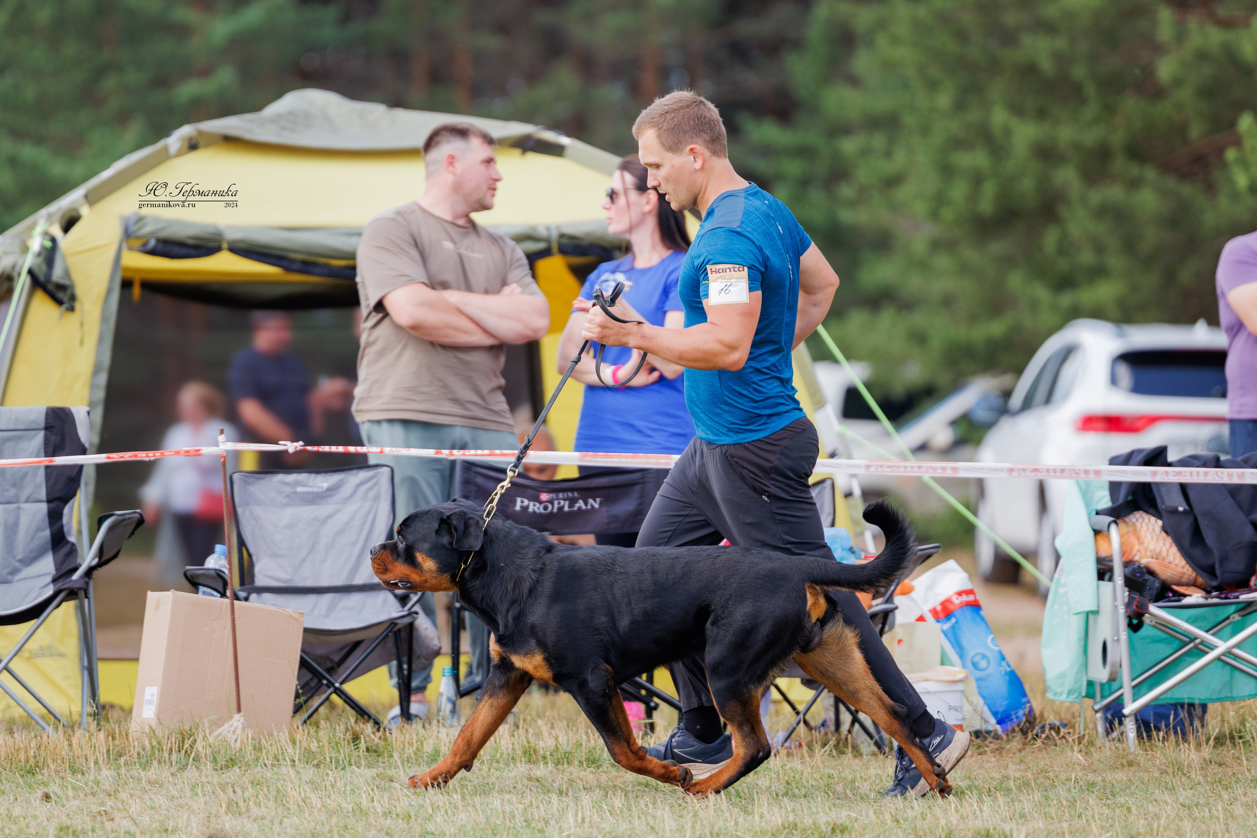 ПК и КЧК ротвейлеры Тверь 6-7.07.2024. Фотограф-анималист Юлия Германика