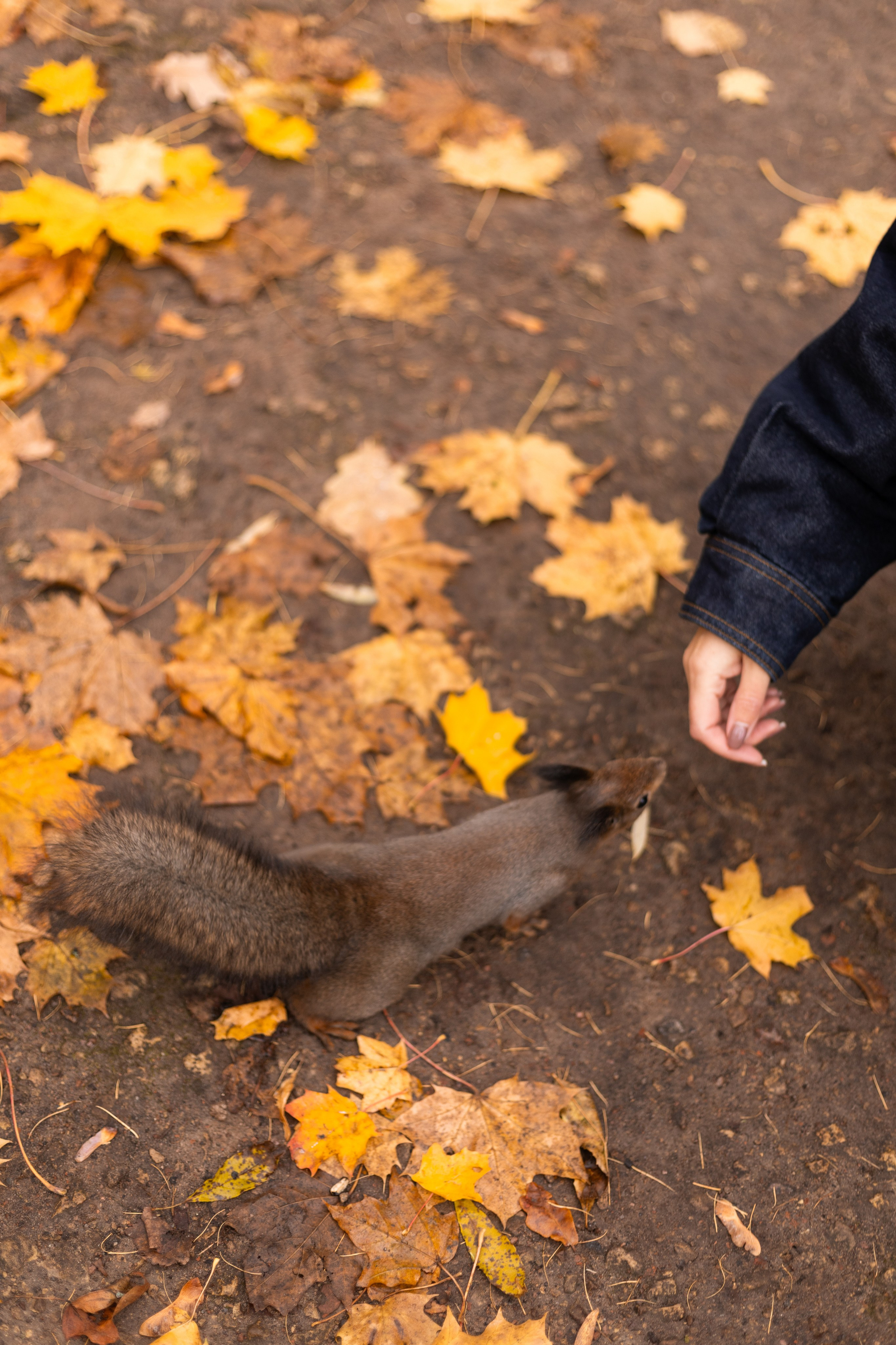 Катя и Карен. Фотограф в Санкт-Петербурге Смирнова Диана