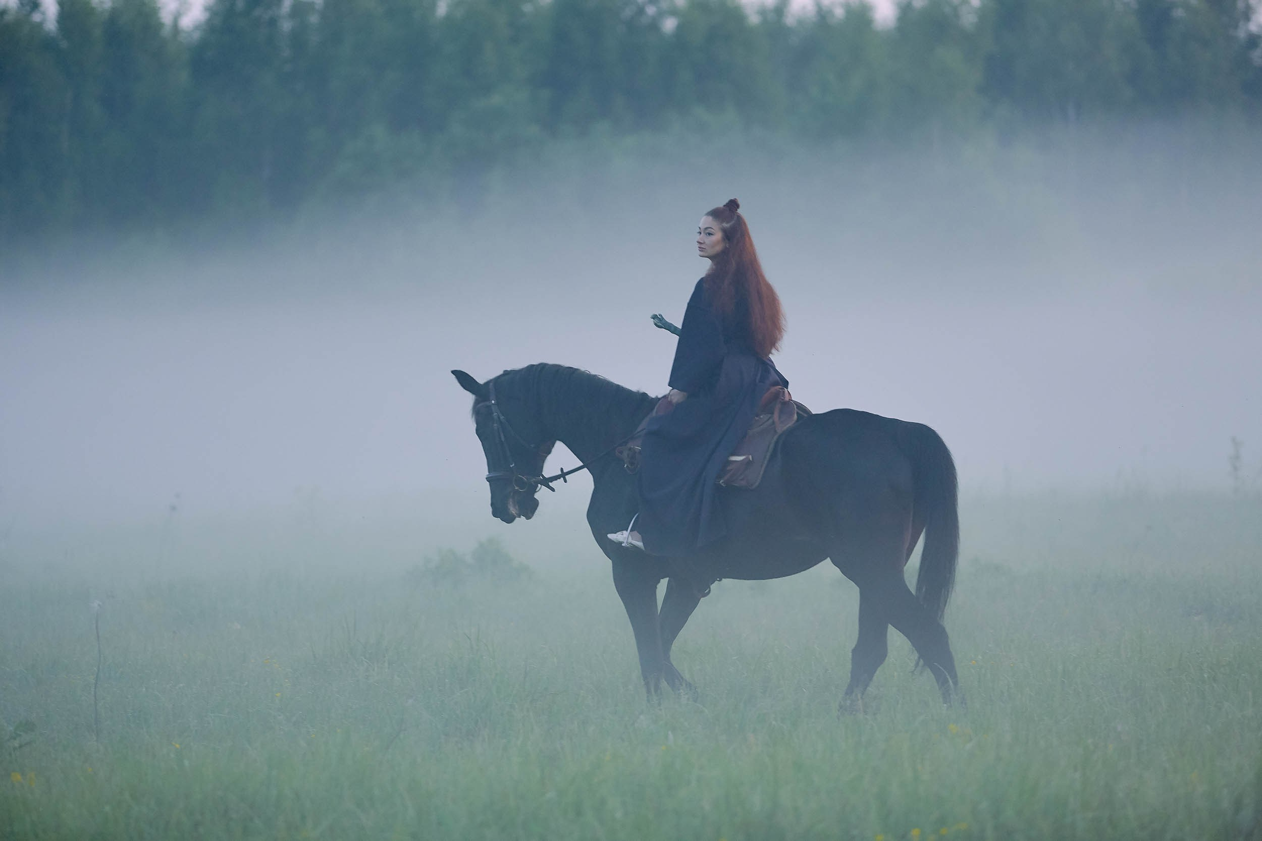Фотопроекты и съемки на природе, с лошадьми, самолетами и авто. Выездная фотосессия. Фотограф, фотопроекты Михаила Семенова в Ярославле. Фотошкола