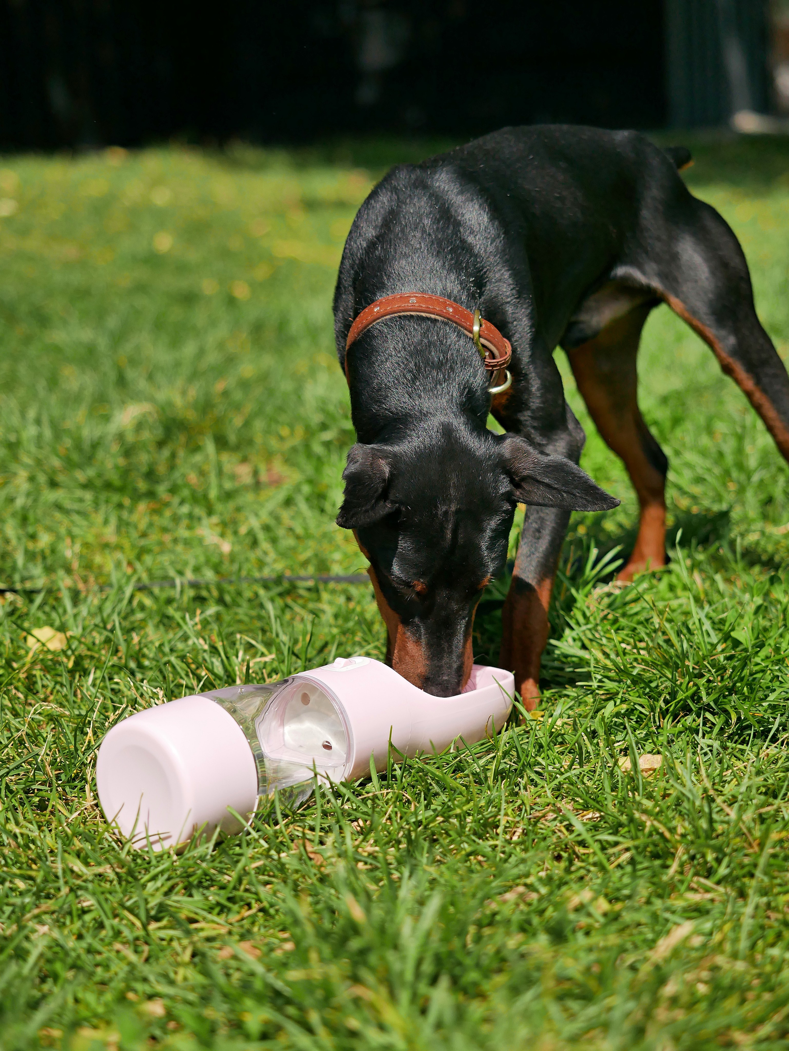 Стрит съёмка