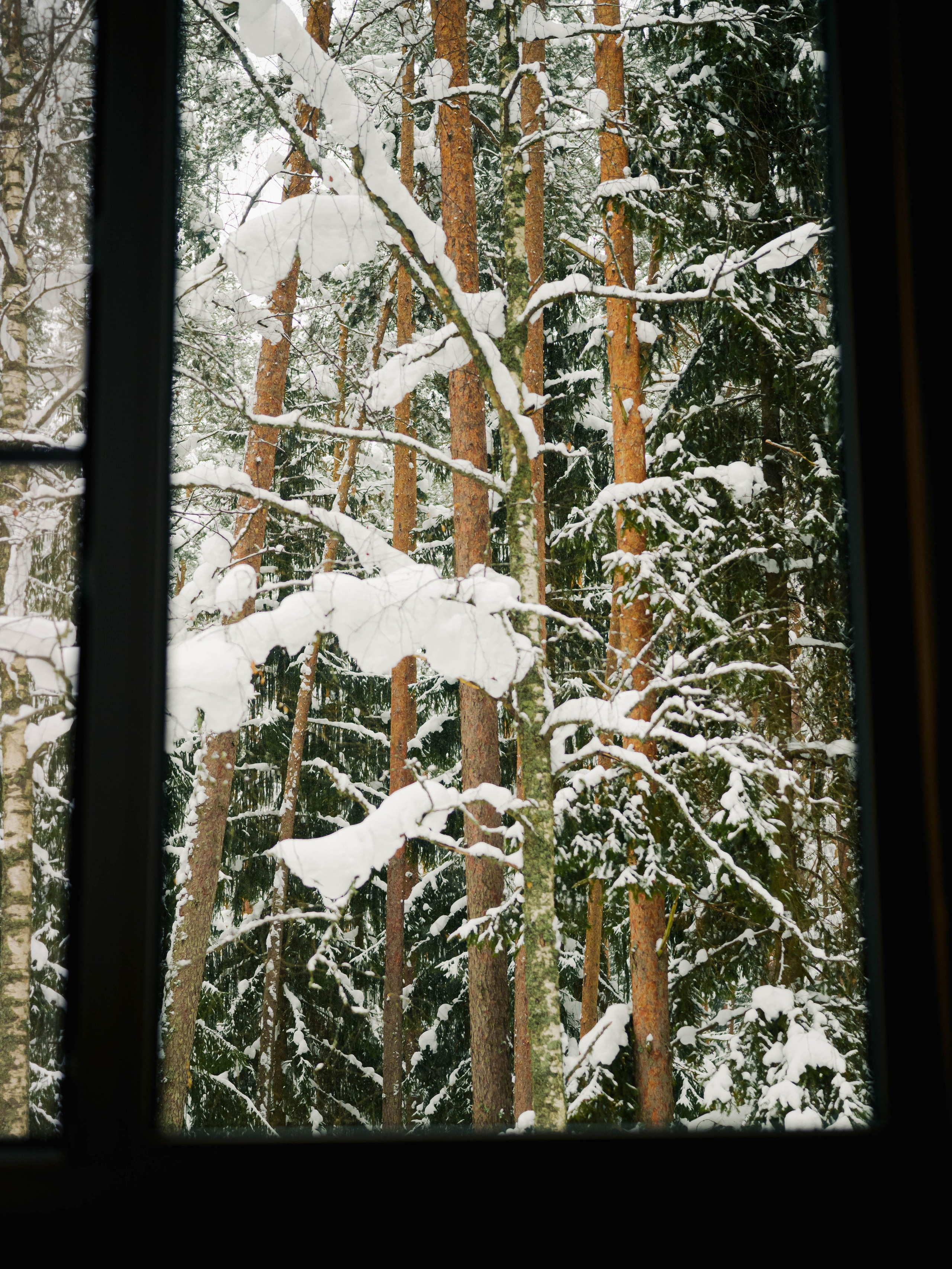 Skuratov Trail Run. Портретный и репортажный фотограф в Санкт-Петербурге Смоляков Максим