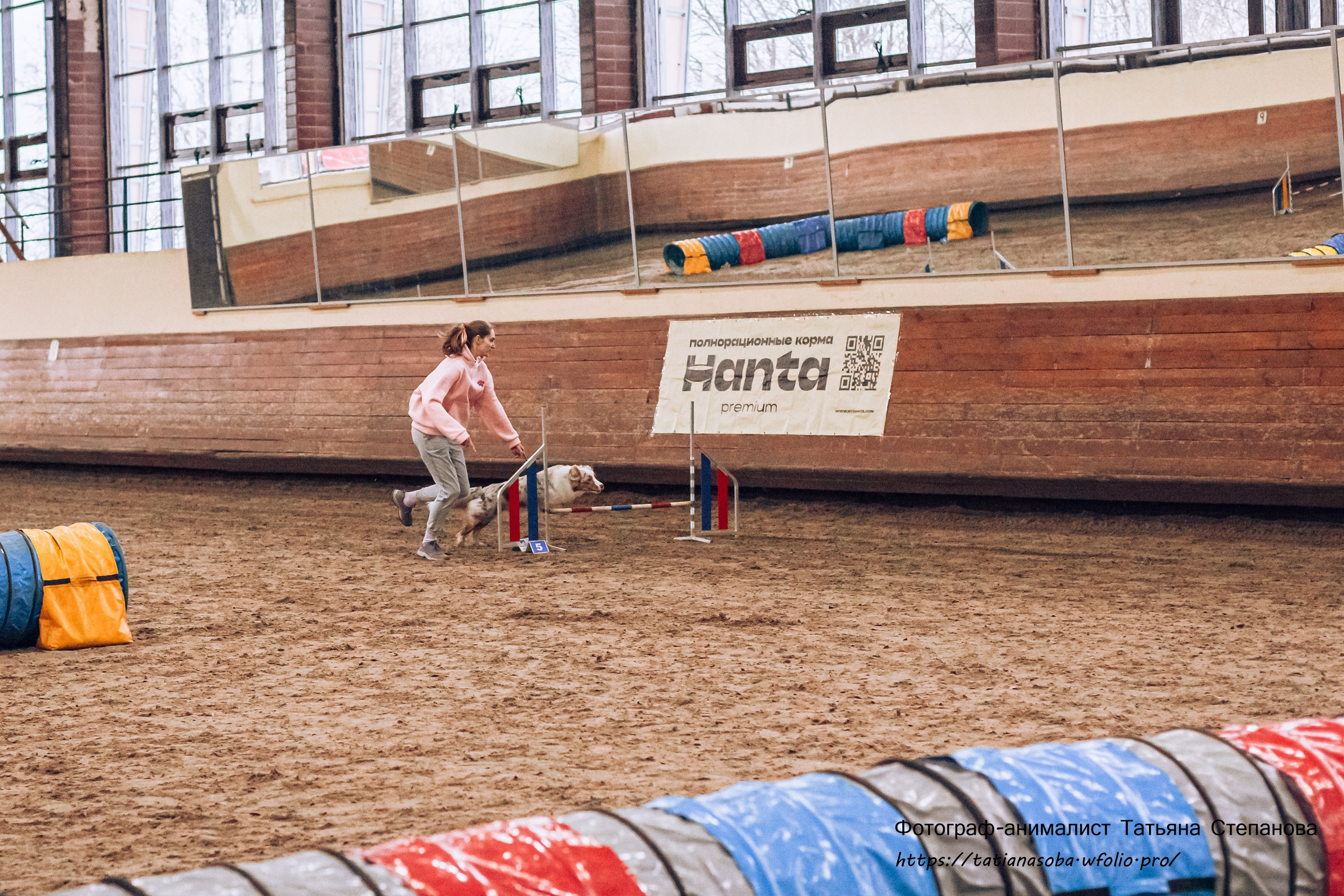 Соревнования по Аджилити 25.02.2024. Фотограф-анималист Татьяна Степанова