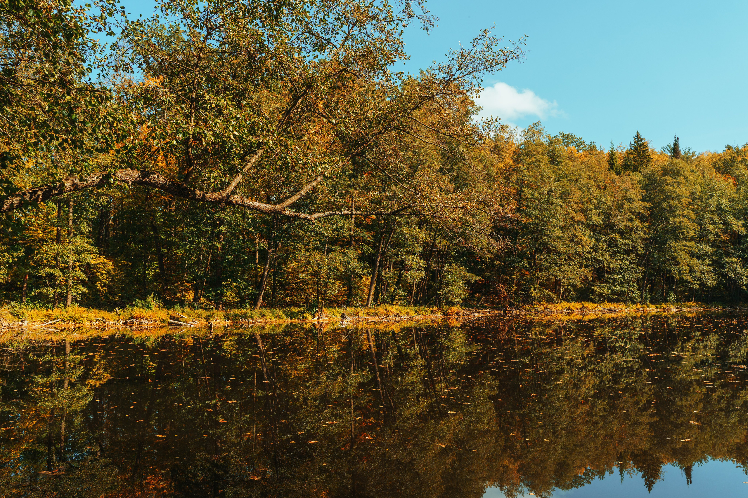 Good Friends Trip / команда локальных путешествий. Саша Копылов, фотограф в Казани