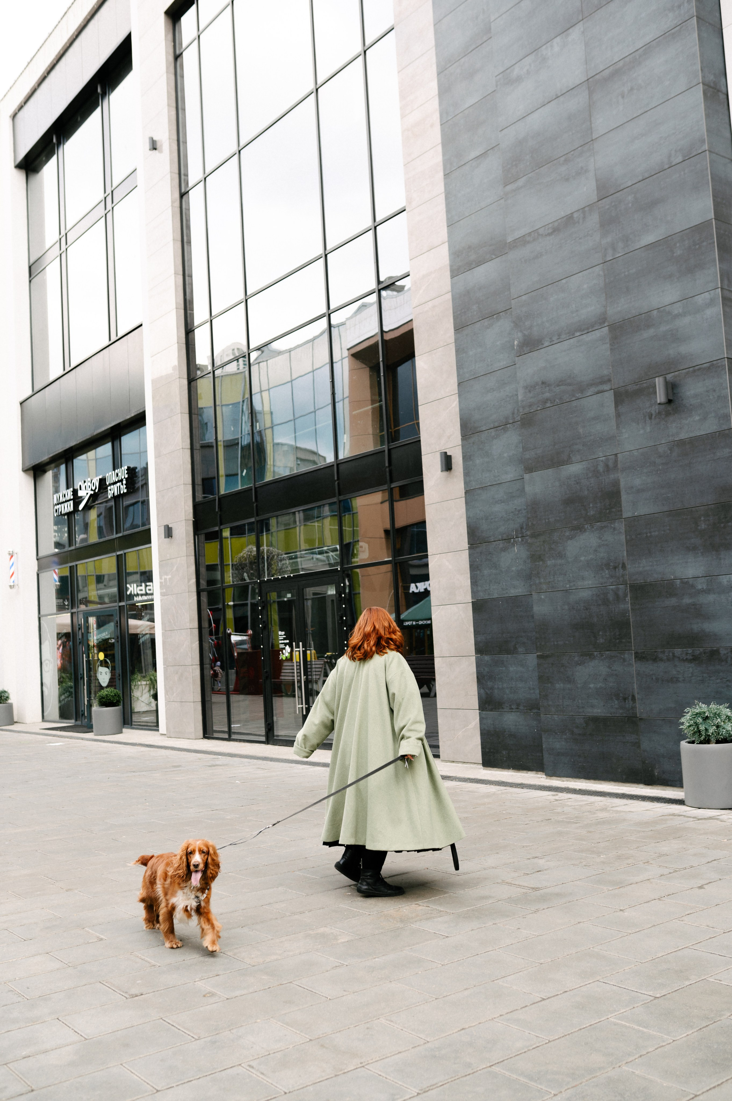 Рыжая команда. Фотограф анималист в Москве Ольга Агушева