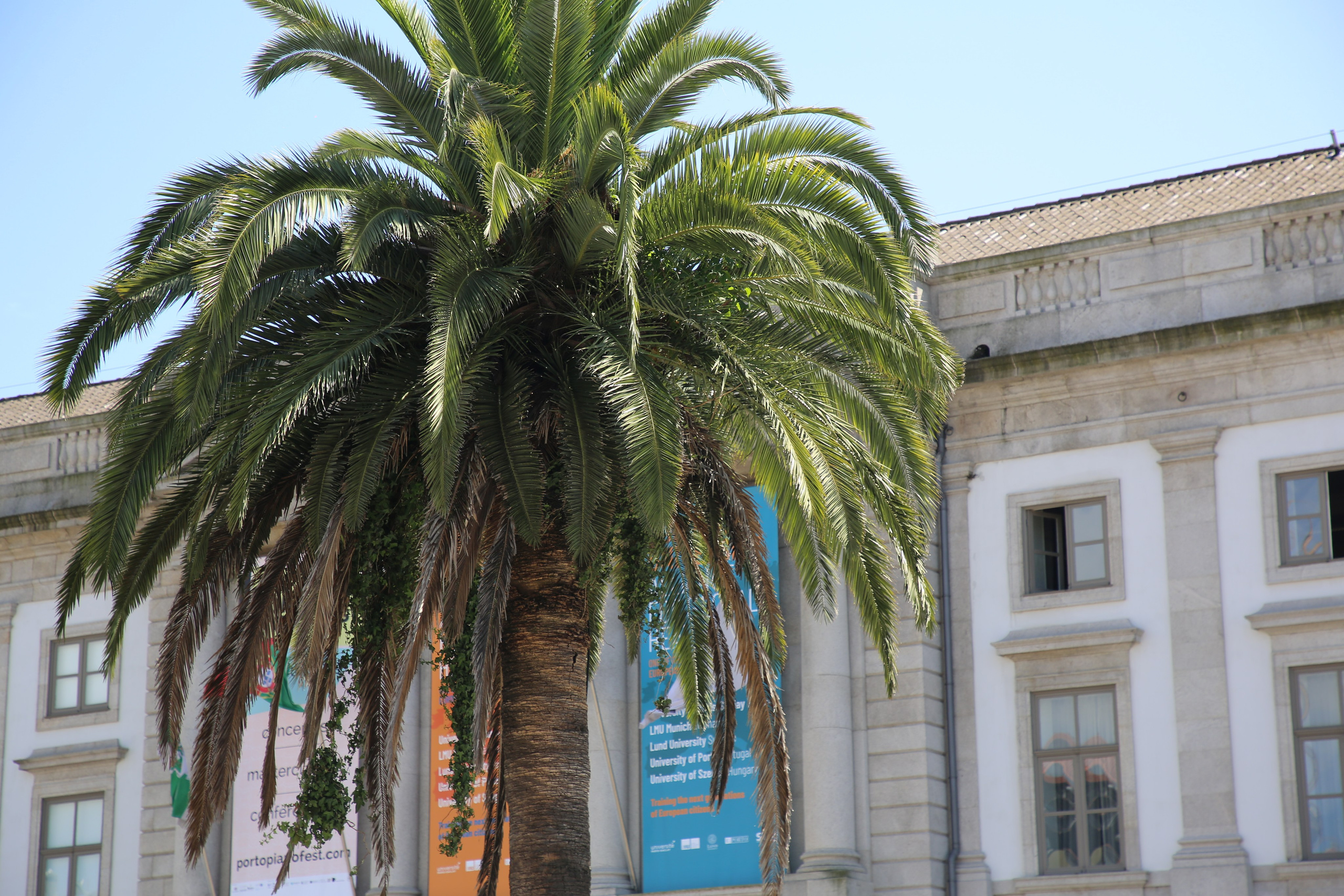Porto, Portugal. Andrey Filippov Photographer