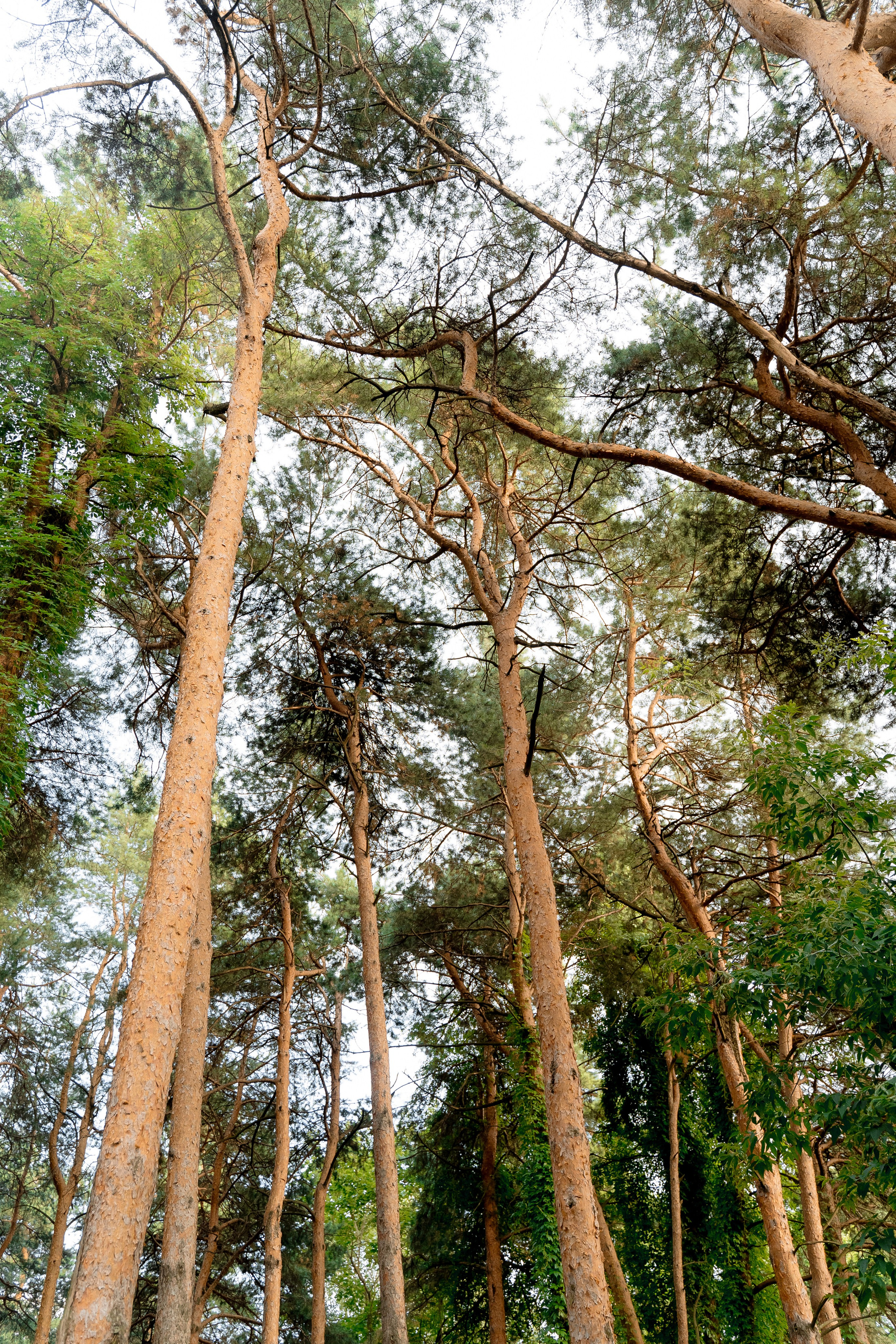 Илья & Инна. RETOUCH-HOUSE